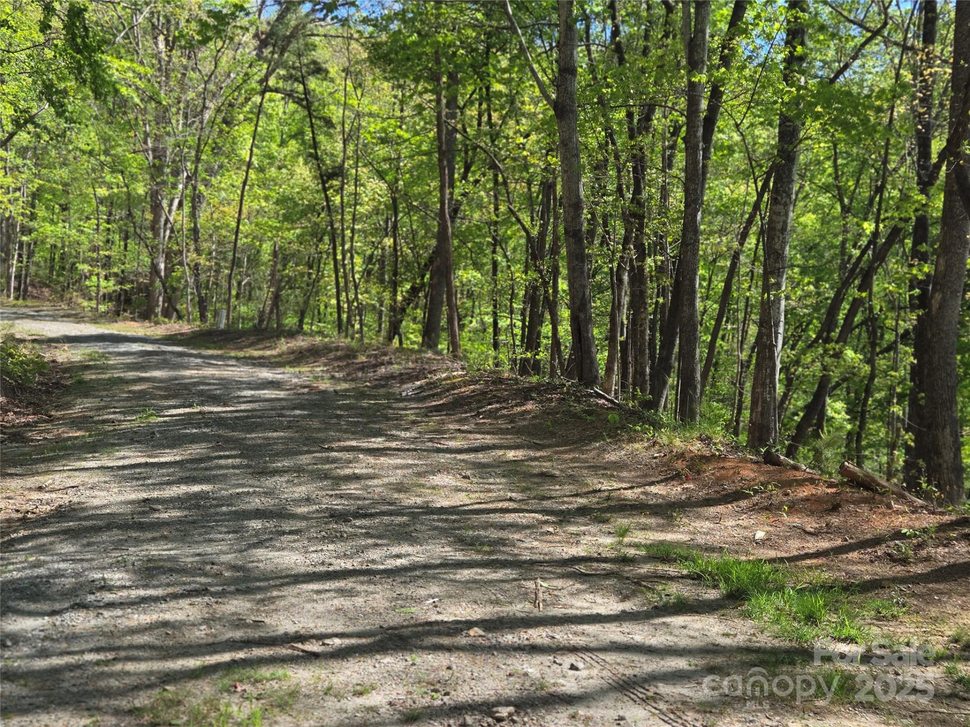 Lot 64 &  65 Walnut Lane - Photo 4