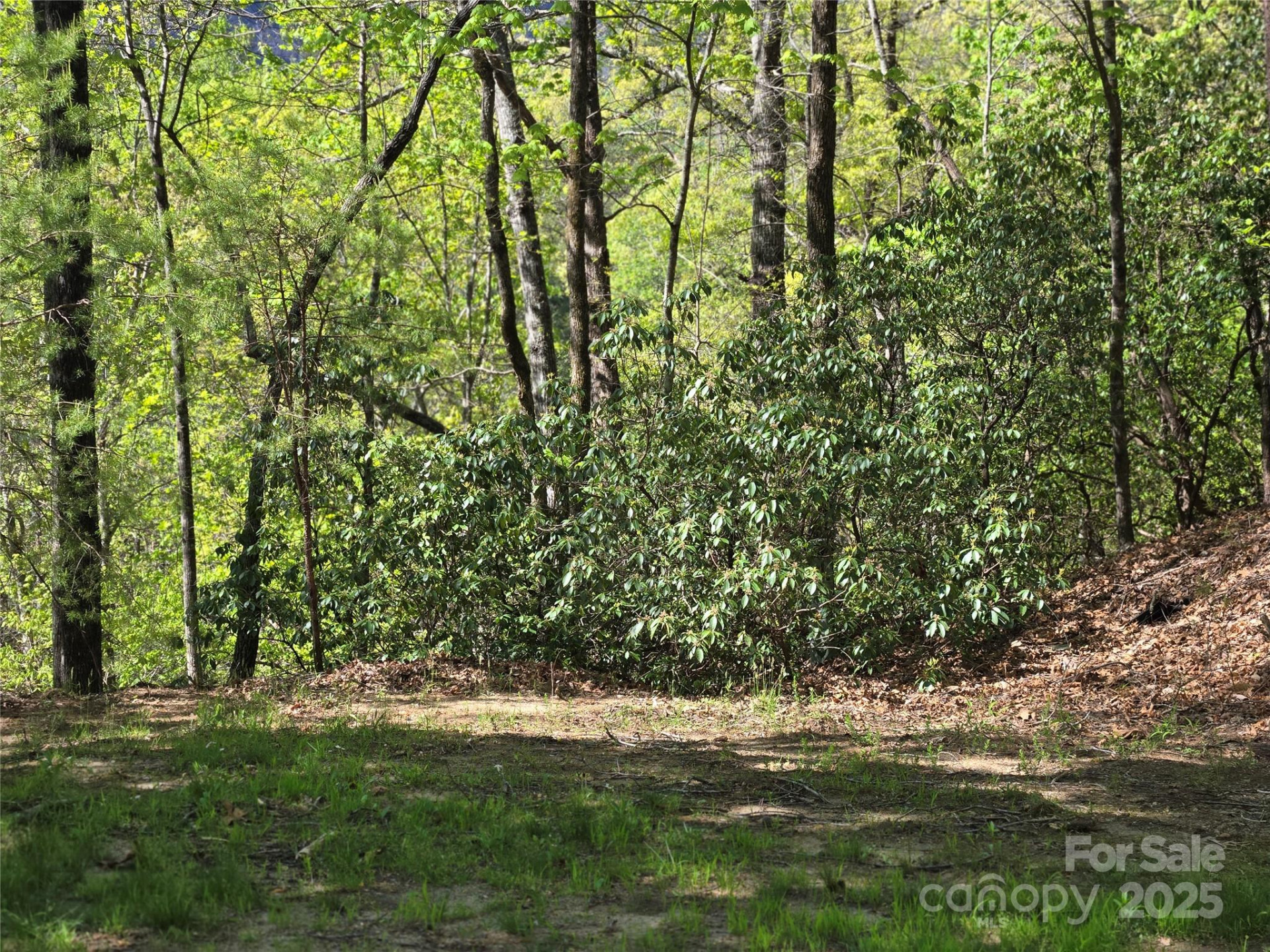 Lot 64 &  65 Walnut Lane - Photo 6