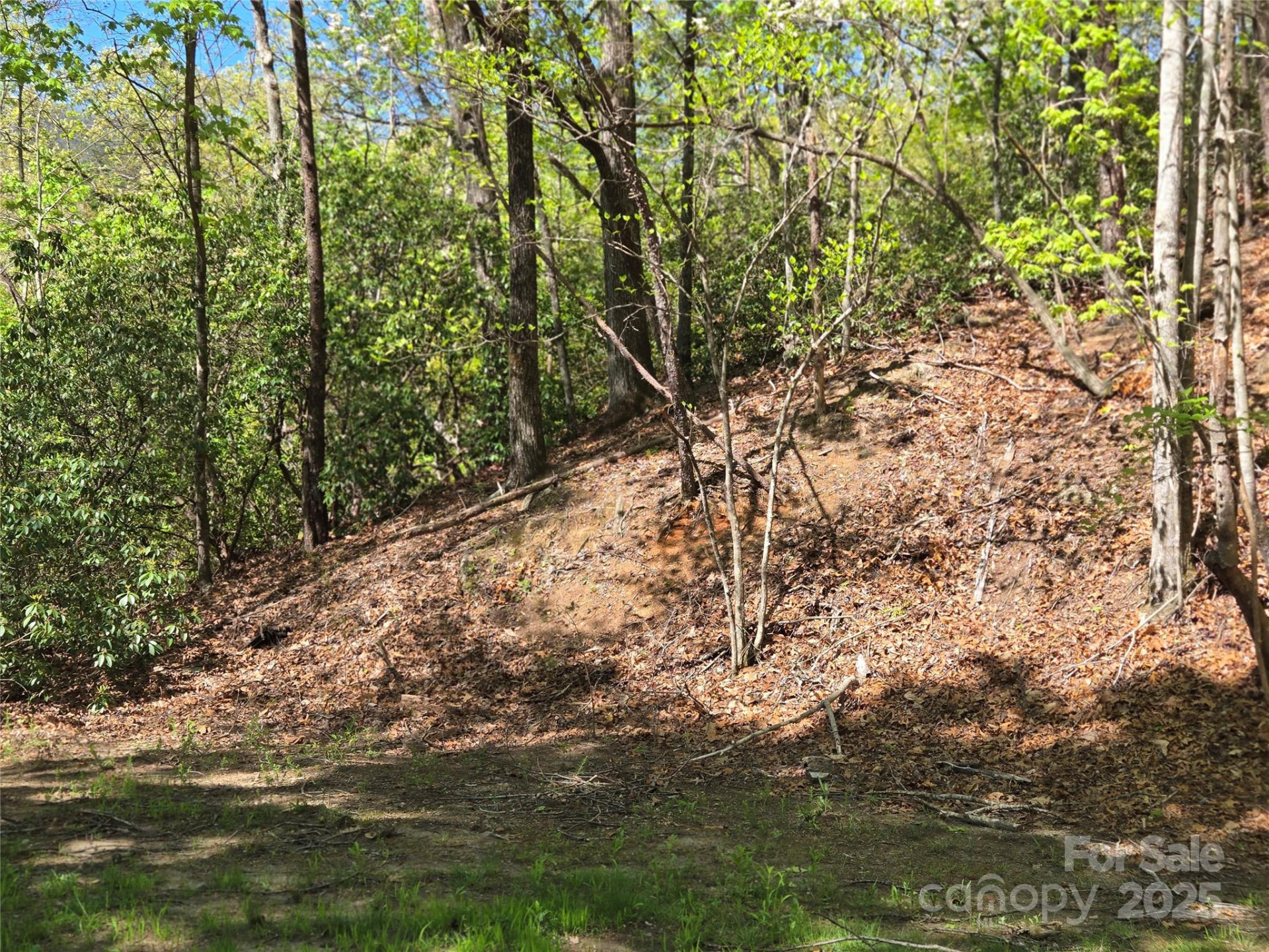 Lot 64 &  65 Walnut Lane - Photo 8