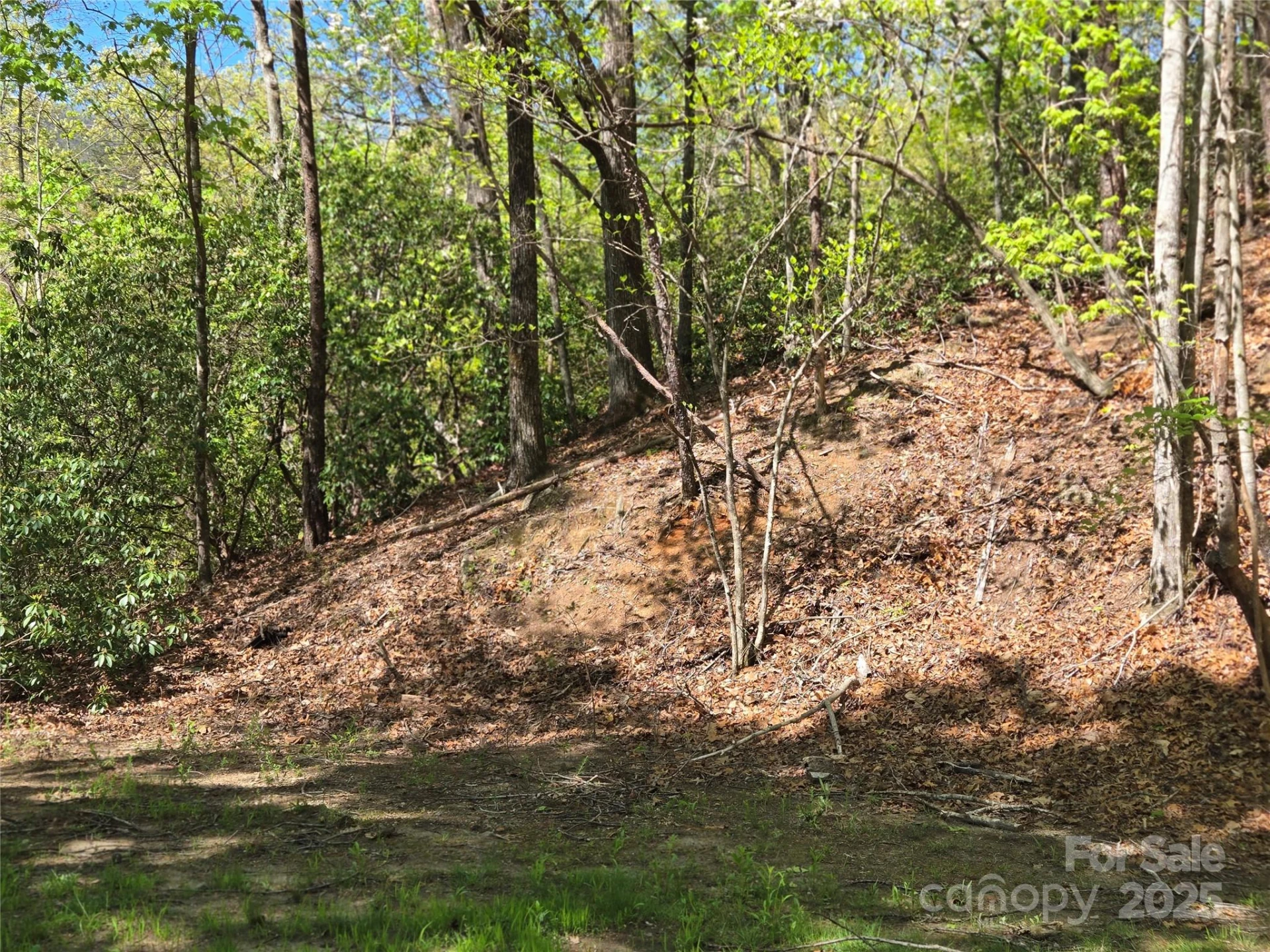 Lot 64 &  65 Walnut Lane - Photo 8