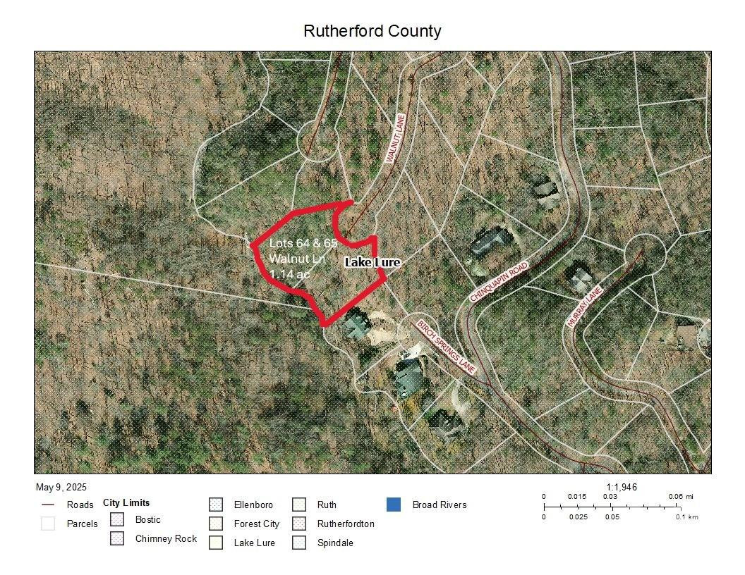 Lot 64 &  65 Walnut Lane - Photo 10