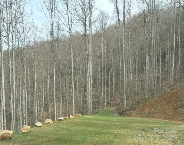 269 Flowering Ridge Road, Whittier, NC, 28789