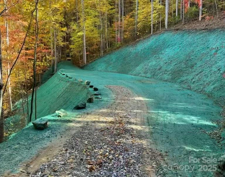 269 Flowering Ridge Road - Photo 2