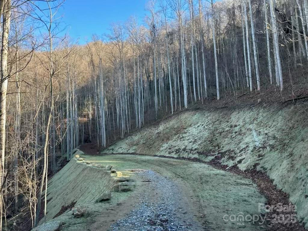 269 Flowering Ridge Road - Photo 4