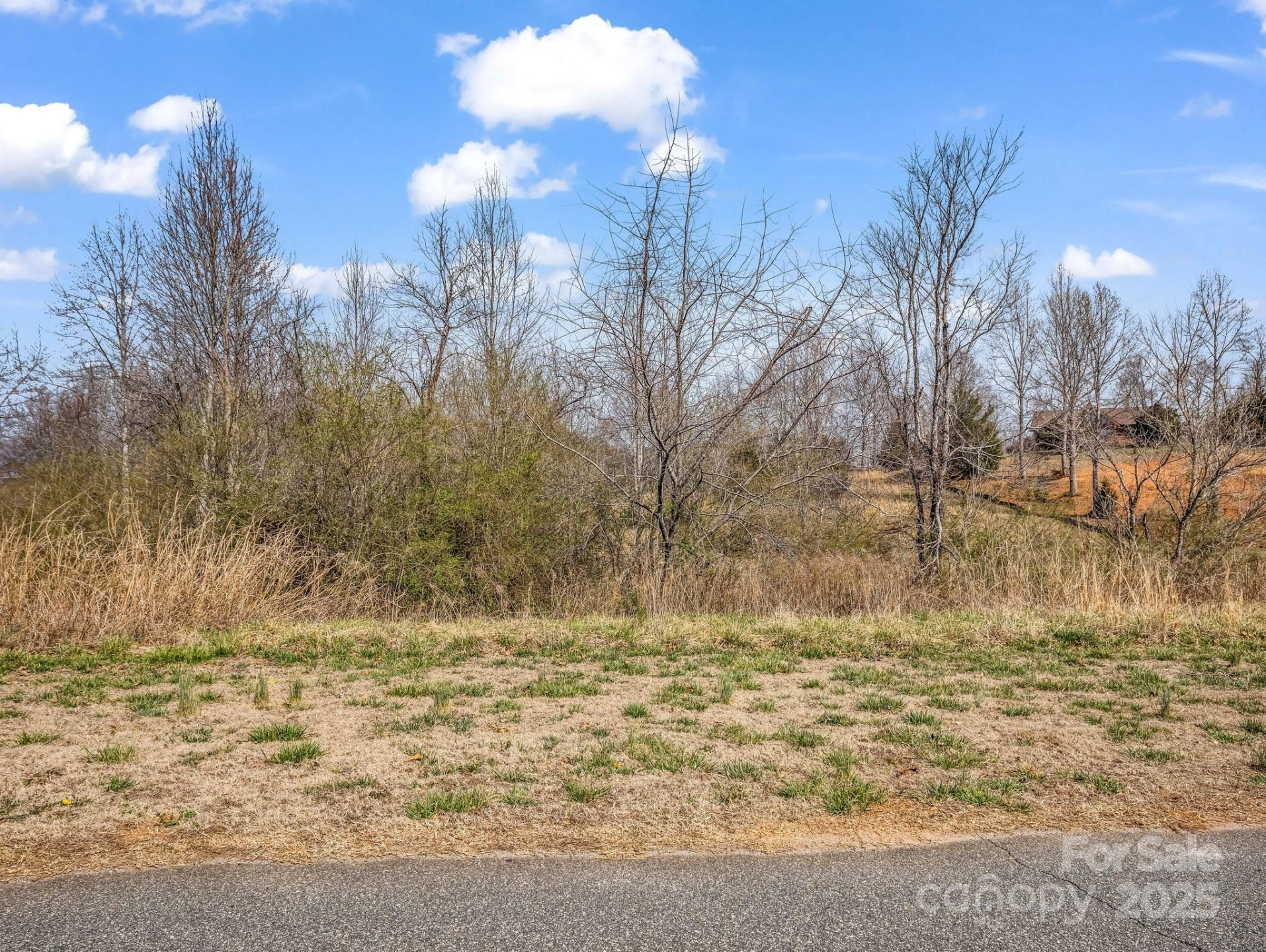 0 Ole Plantation Drive #24 - Photo 6