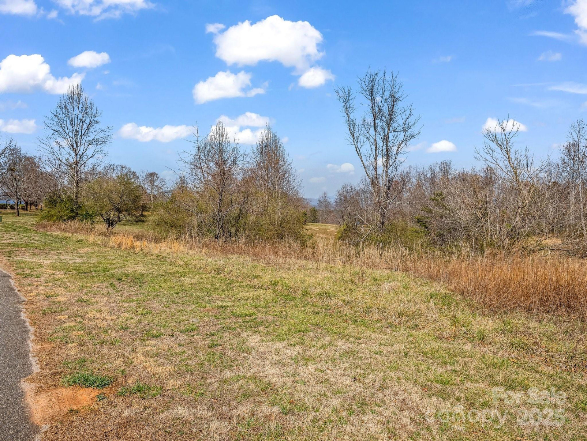 0 Ole Plantation Drive #24 - Photo 8