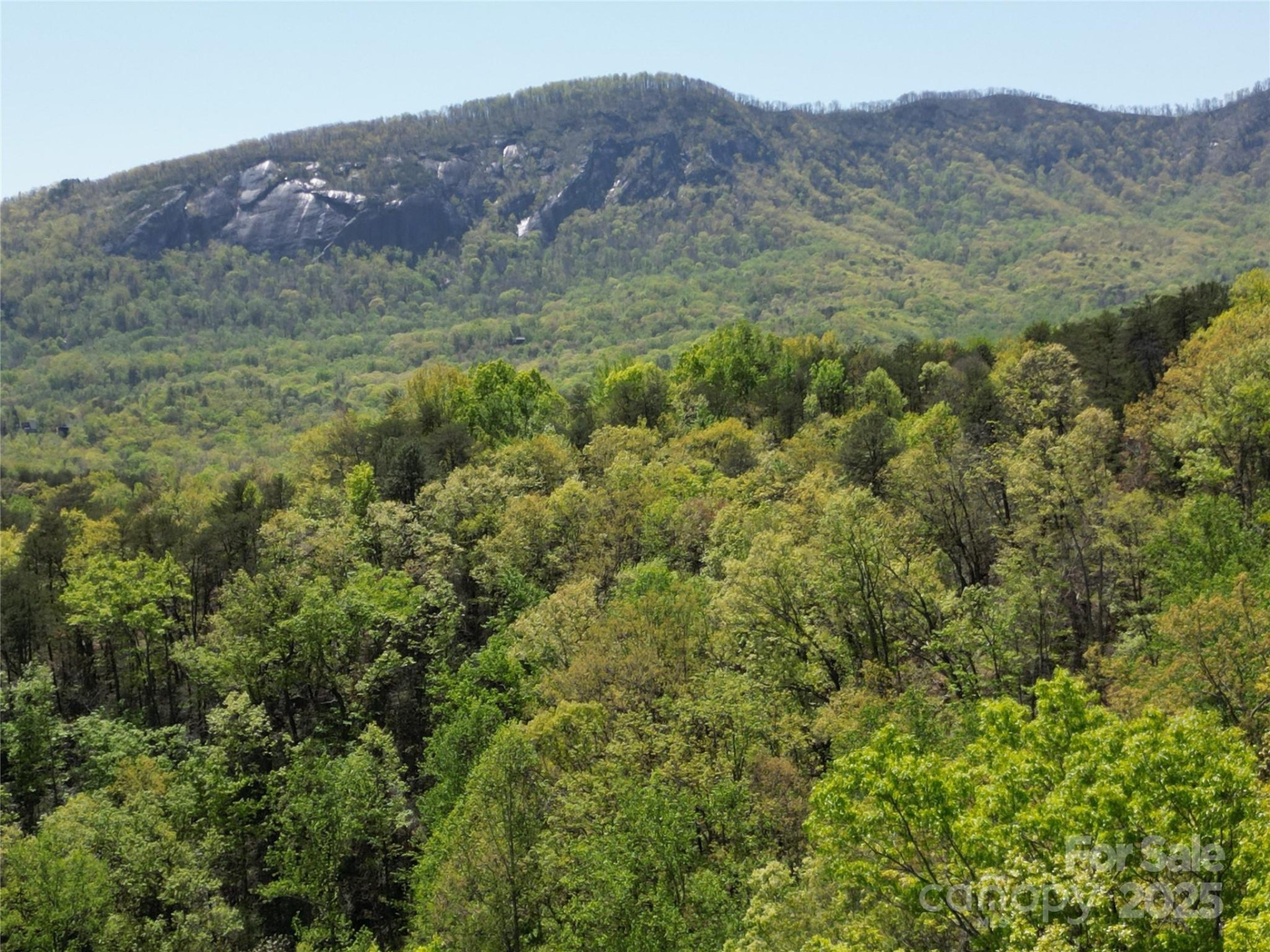 Lot 114 Summit Court - Photo 2