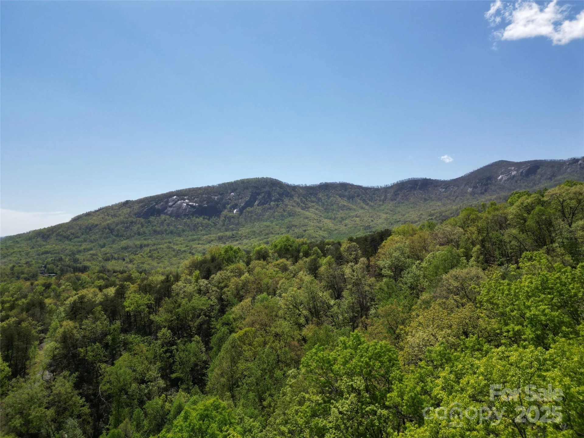 Lot 114 Summit Court - Photo 11