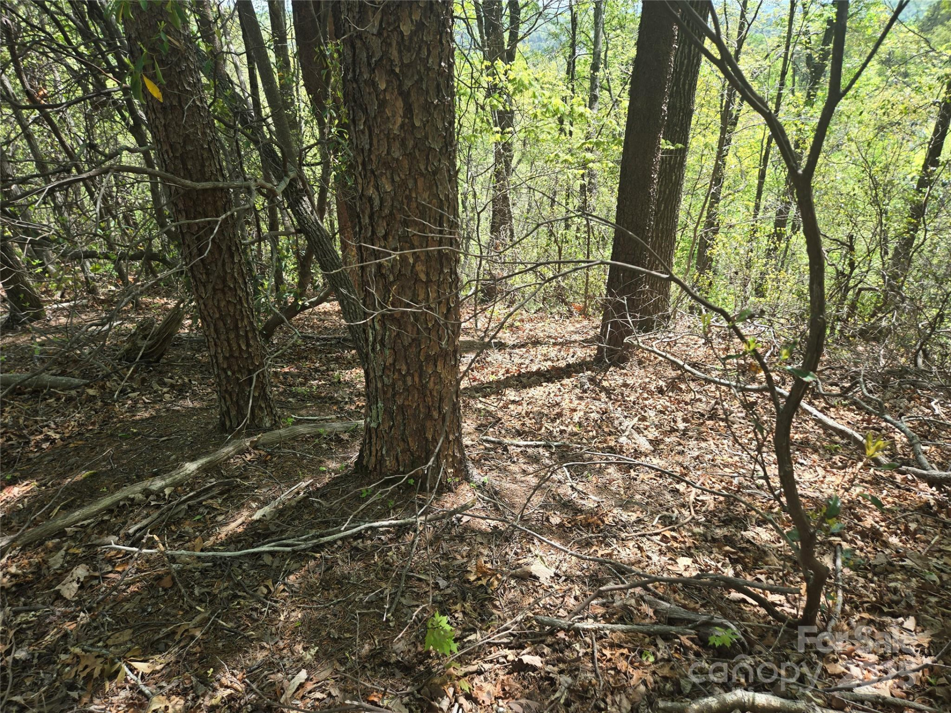 Lot 114 Summit Court - Photo 12