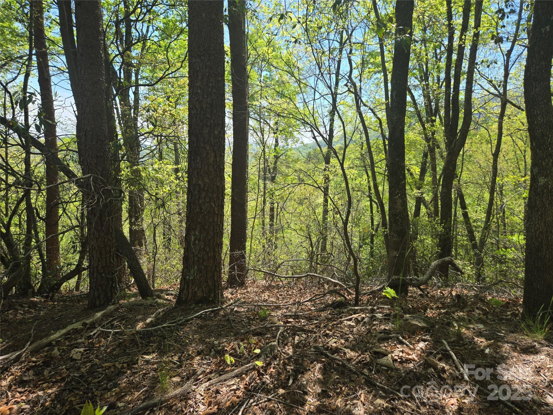 Lot 114 Summit Court - Photo 16