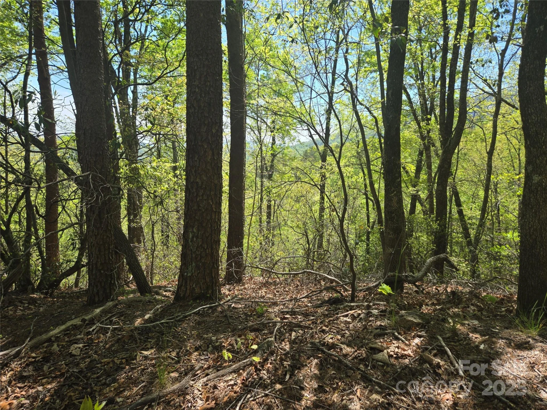 Lot 114 Summit Court - Photo 16
