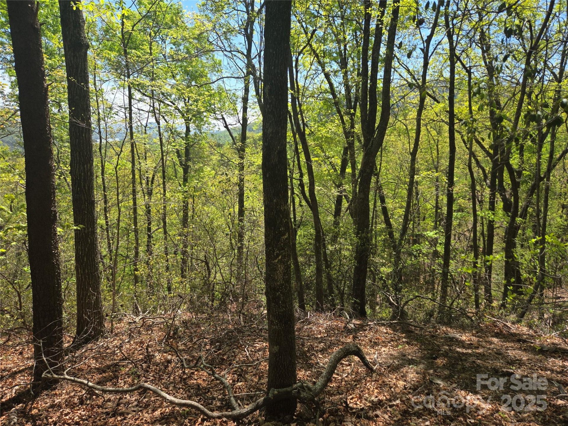 Lot 114 Summit Court - Photo 17