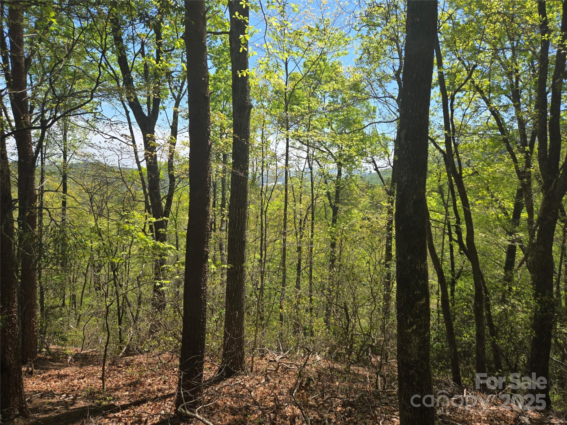 Lot 114 Summit Court - Photo 3