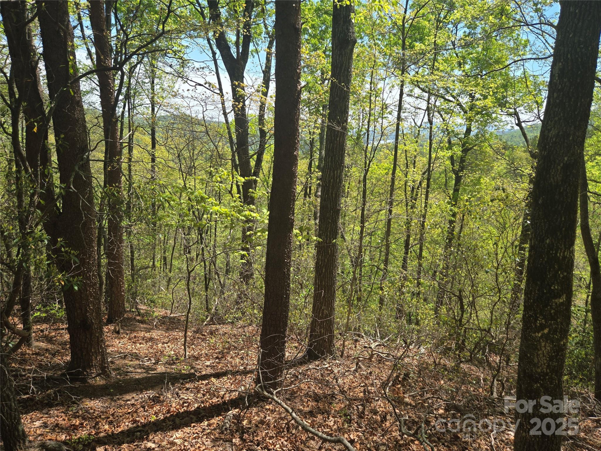 Lot 114 Summit Court - Photo 4