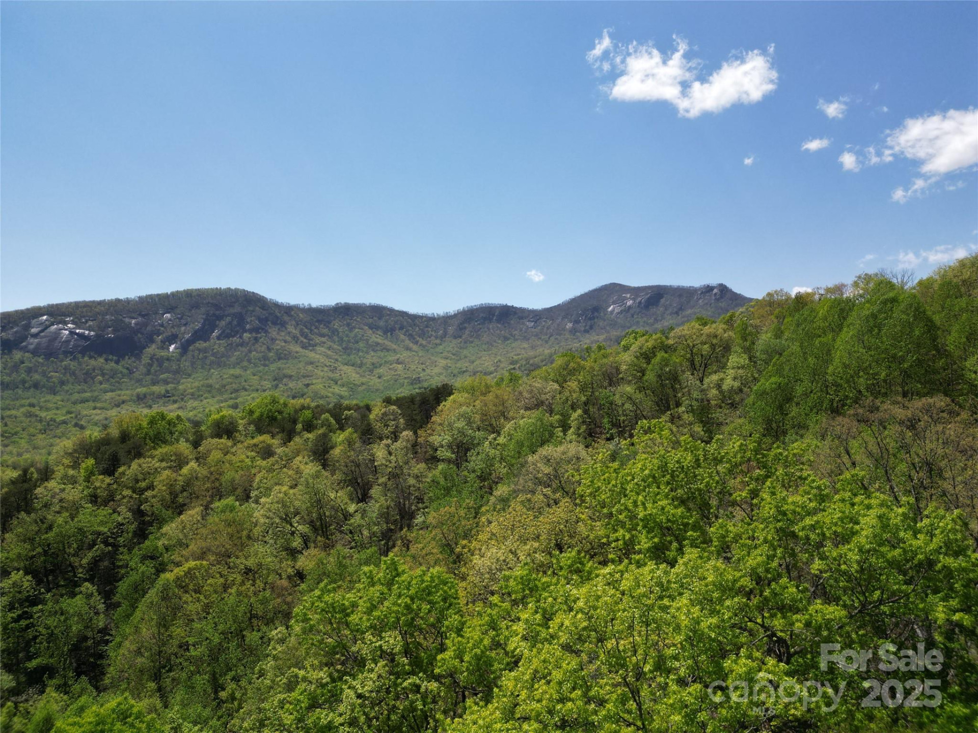 Lot 114 Summit Court - Photo 5