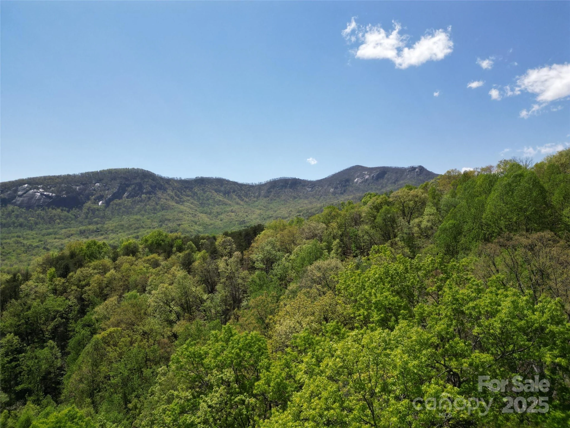Lot 114 Summit Court - Photo 5