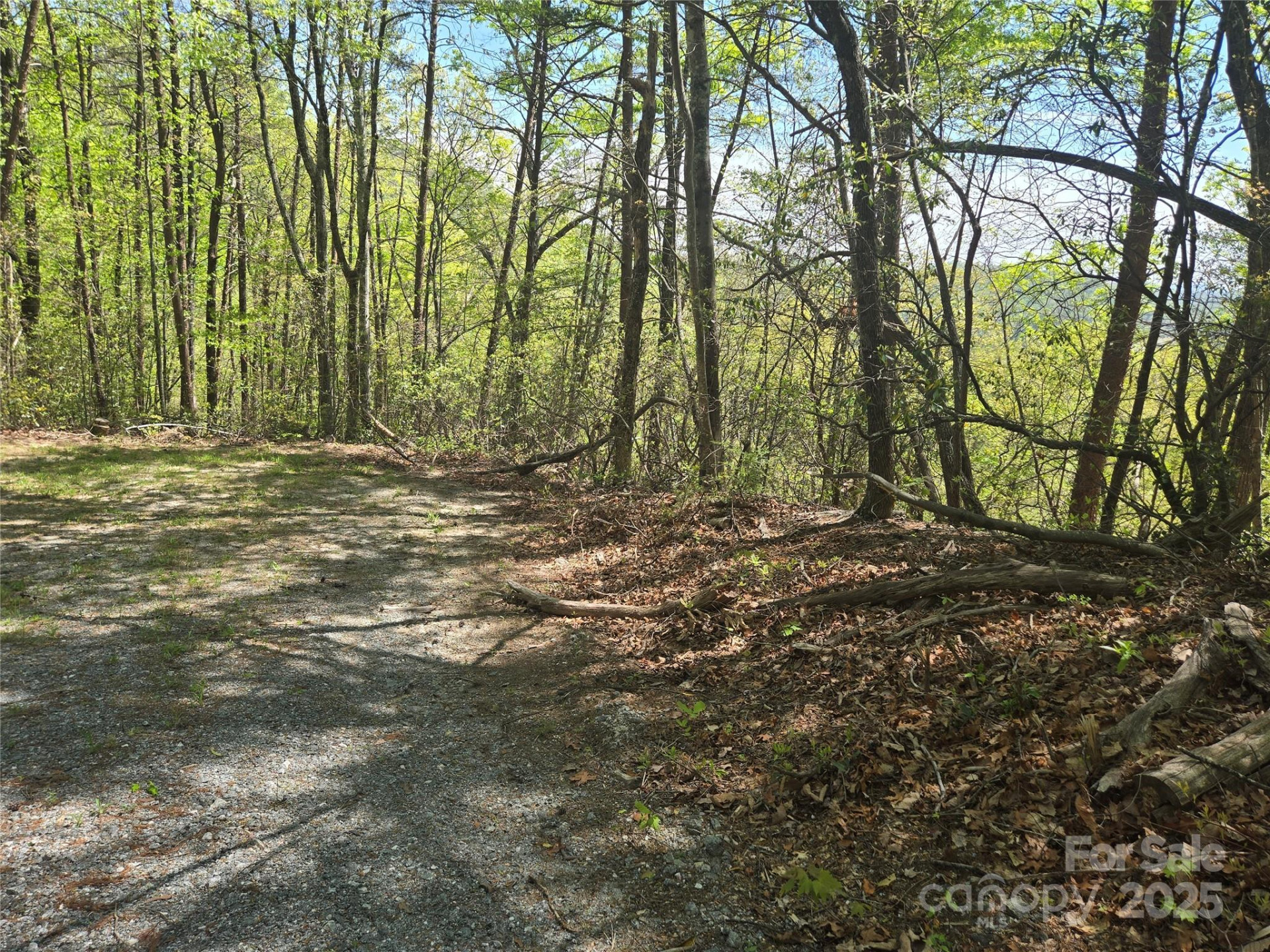 Lot 114 Summit Court - Photo 6