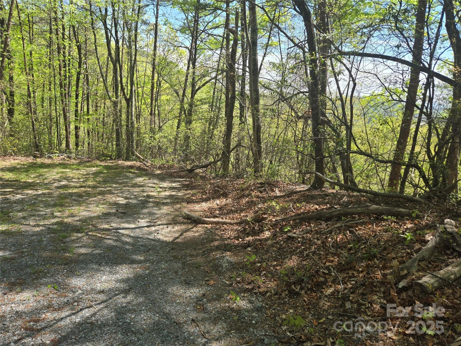 Lot 114 Summit Court - Photo 6