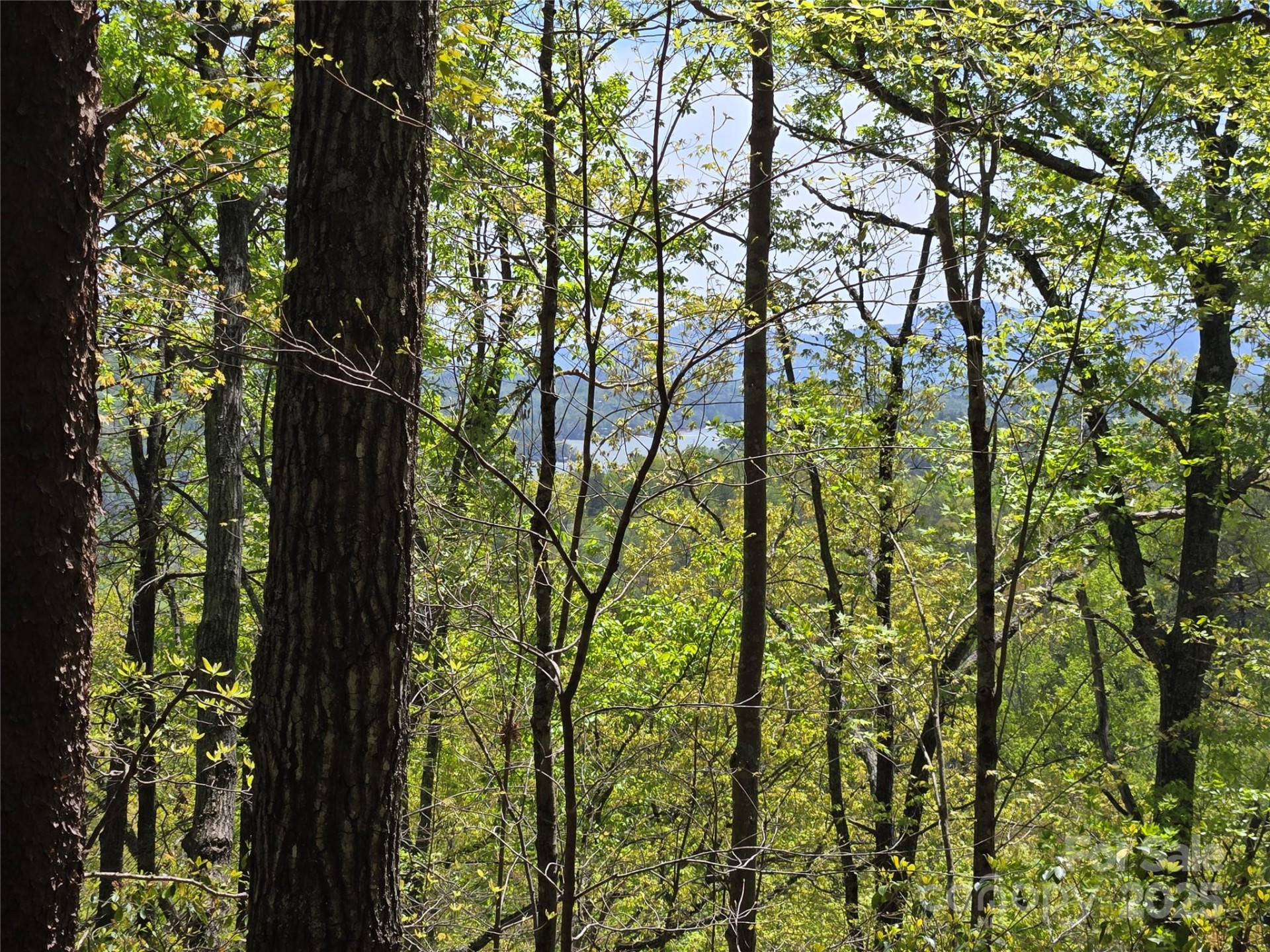 Lot 114 Summit Court - Photo 7