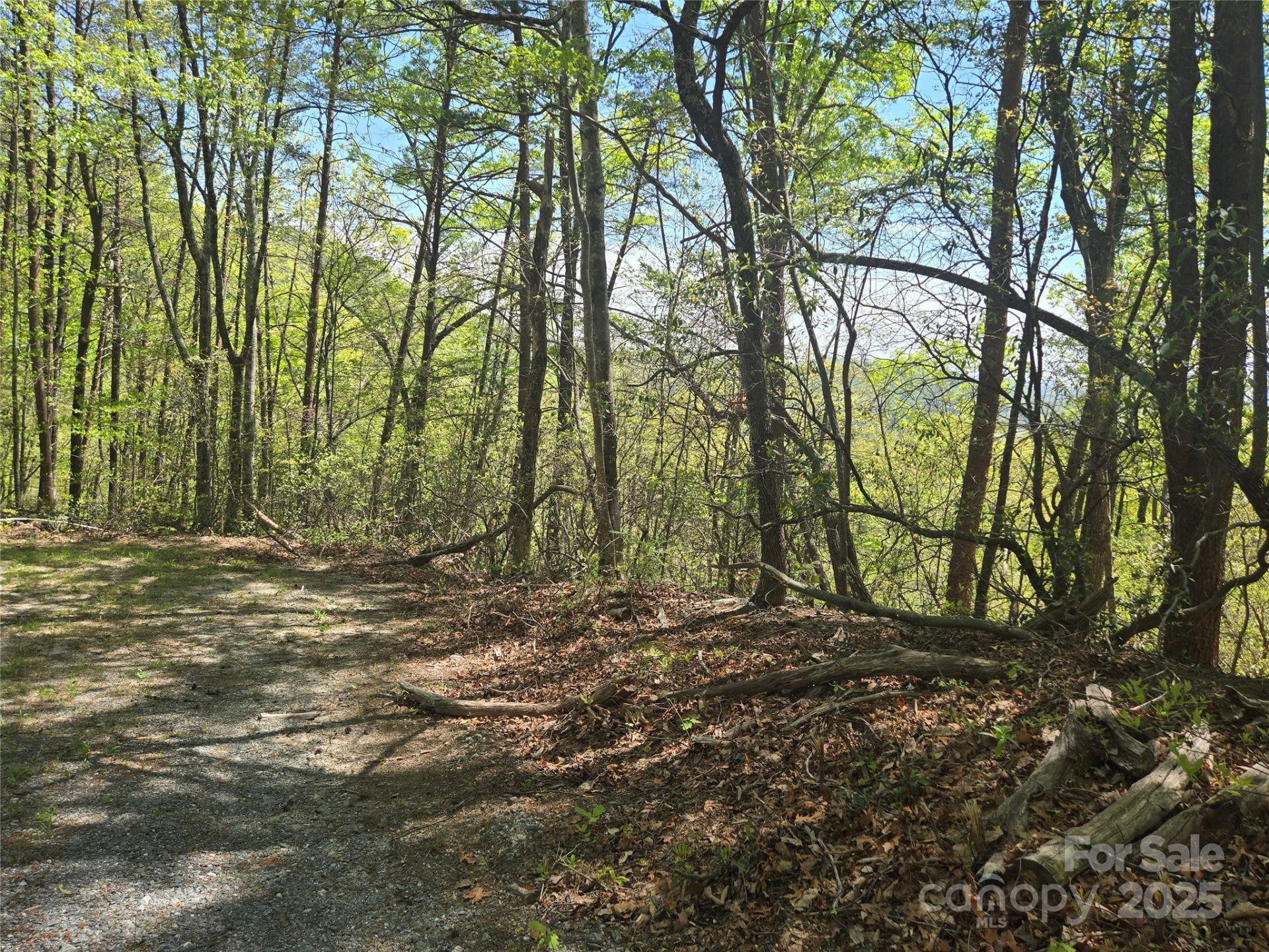 Lot 114 Summit Court - Photo 9