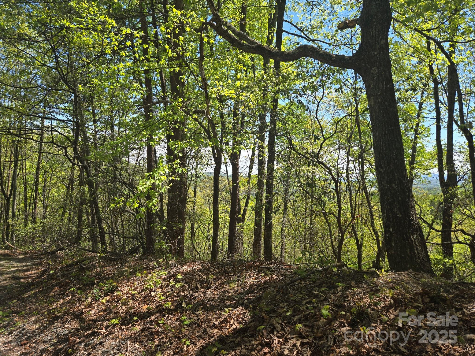 Lot 114 Summit Court - Photo 10