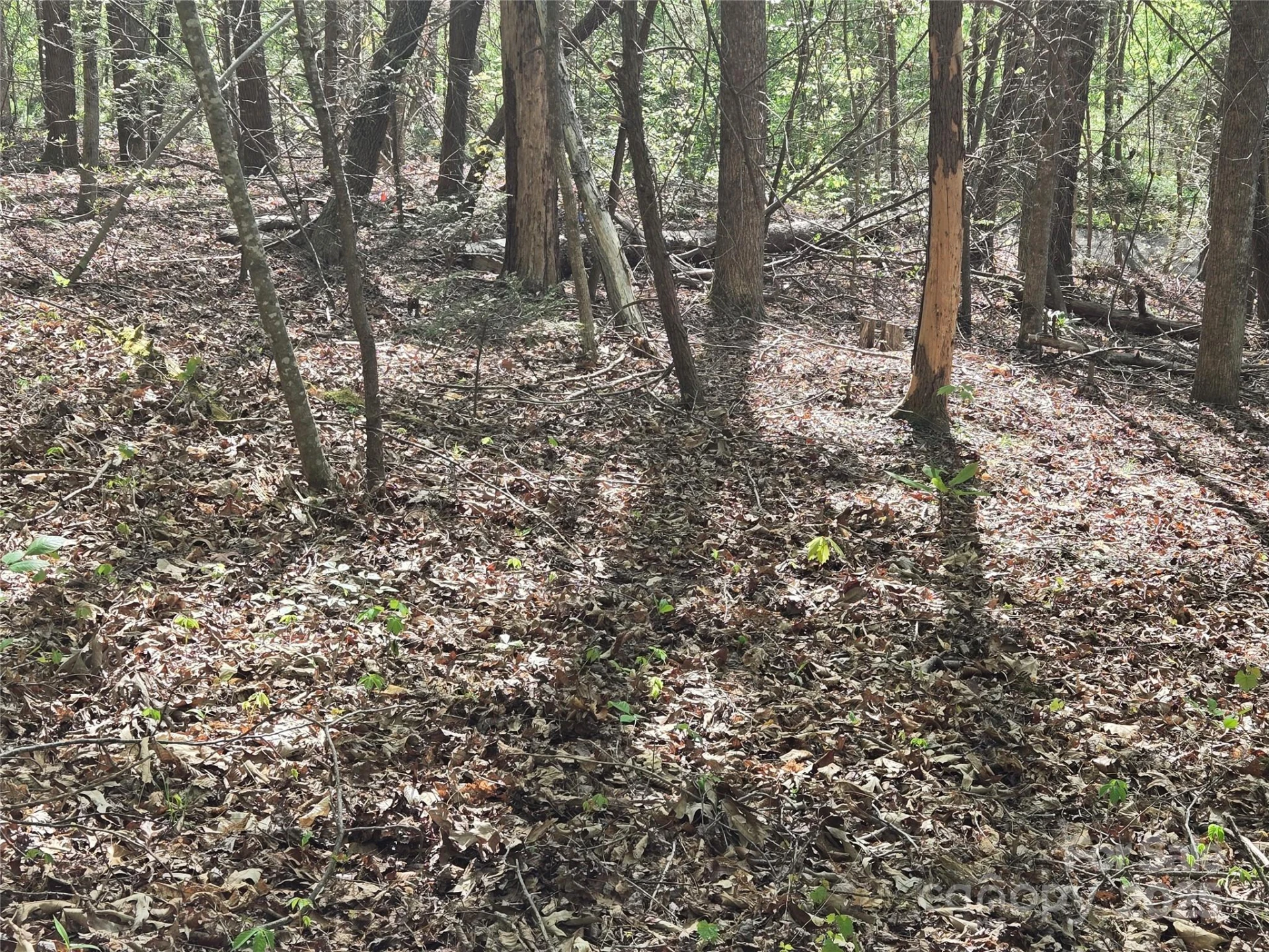 Lot 172 West Lake Drive