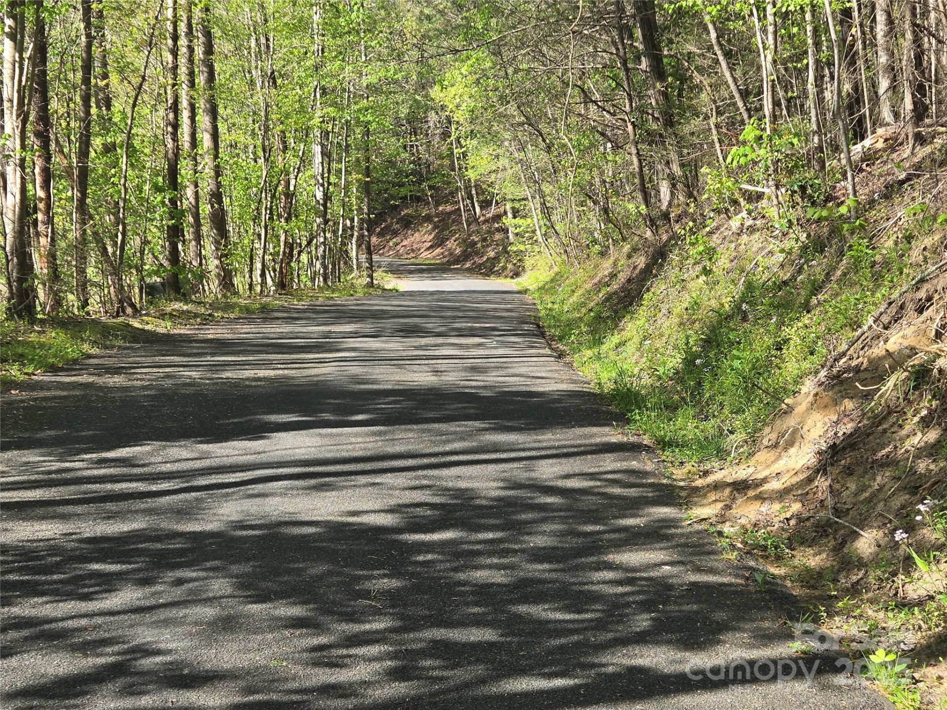 Lot 172 West Lake Drive - Photo 2