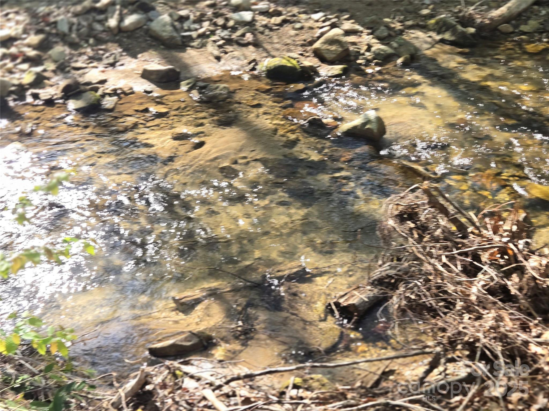 Lot 172 West Lake Drive - Photo 11