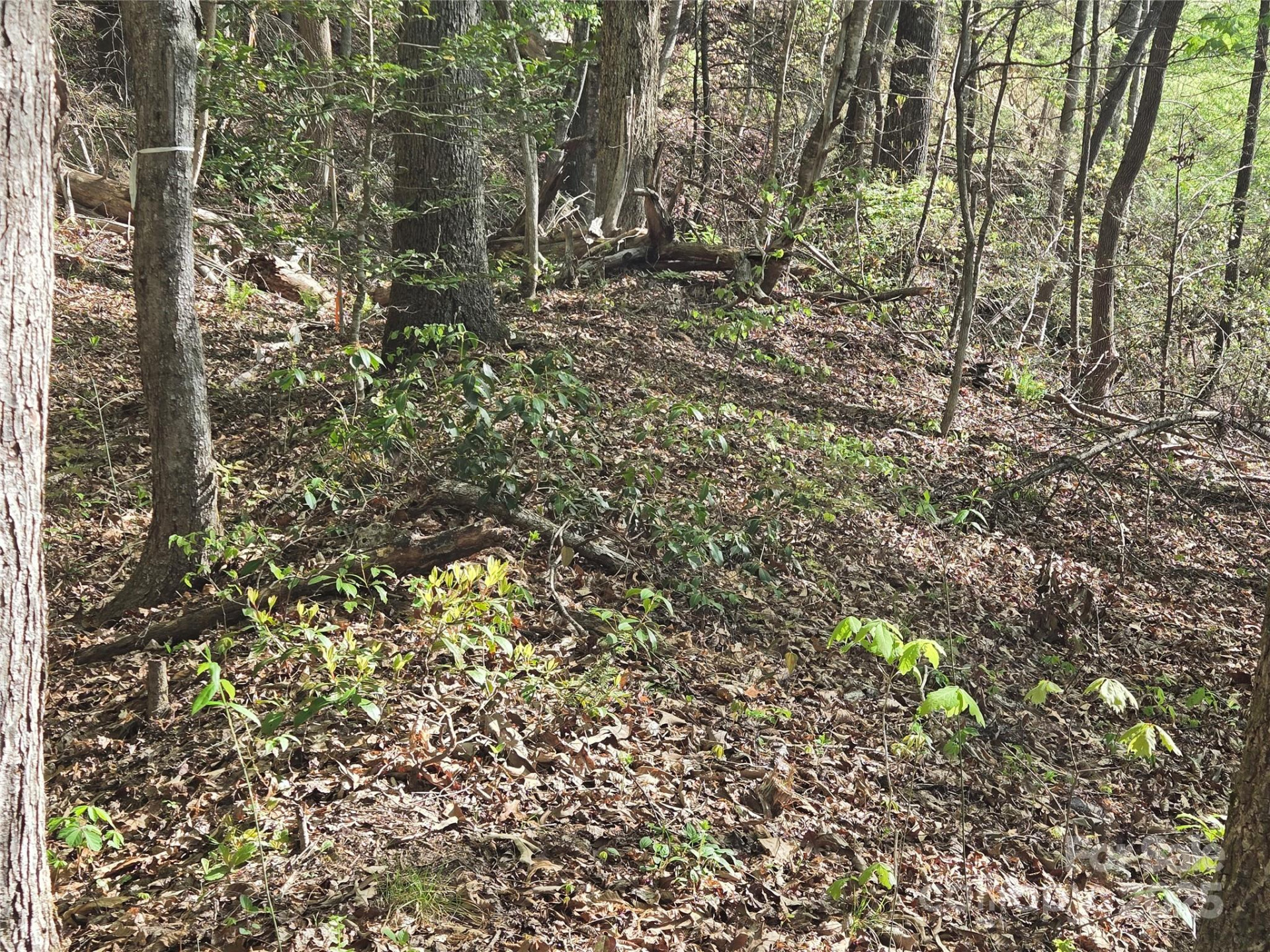 Lot 172 West Lake Drive - Photo 3