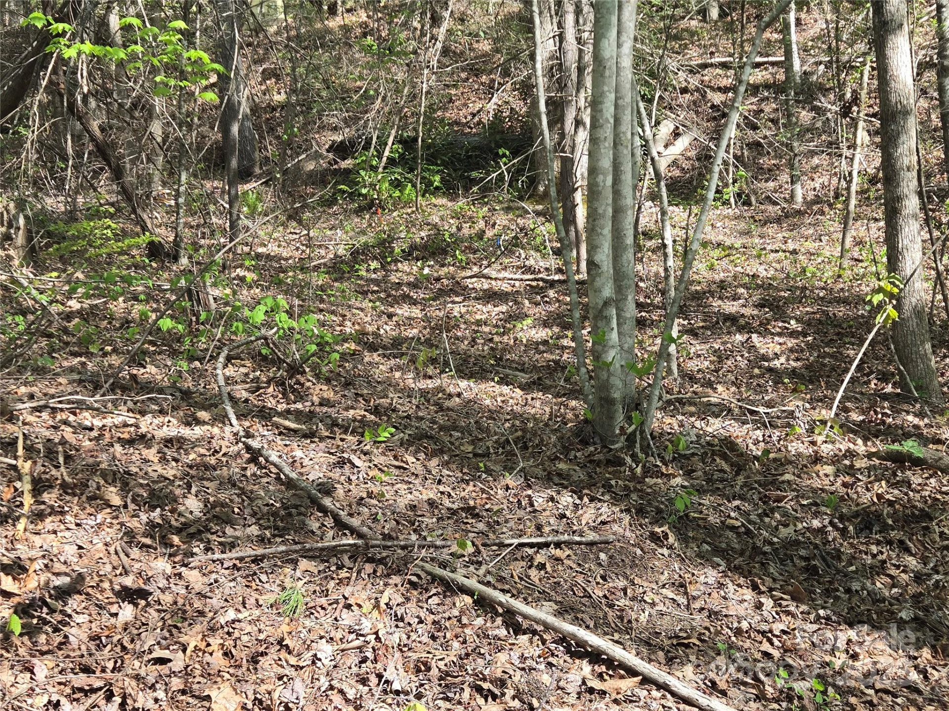 Lot 172 West Lake Drive - Photo 4