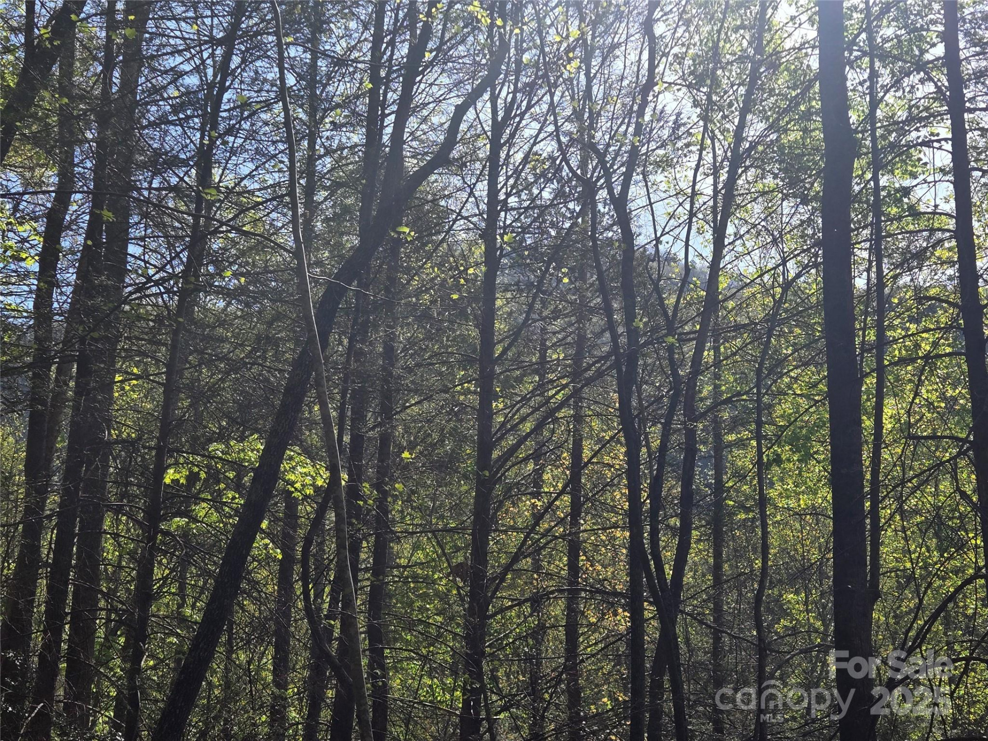 Lot 172 West Lake Drive - Photo 5