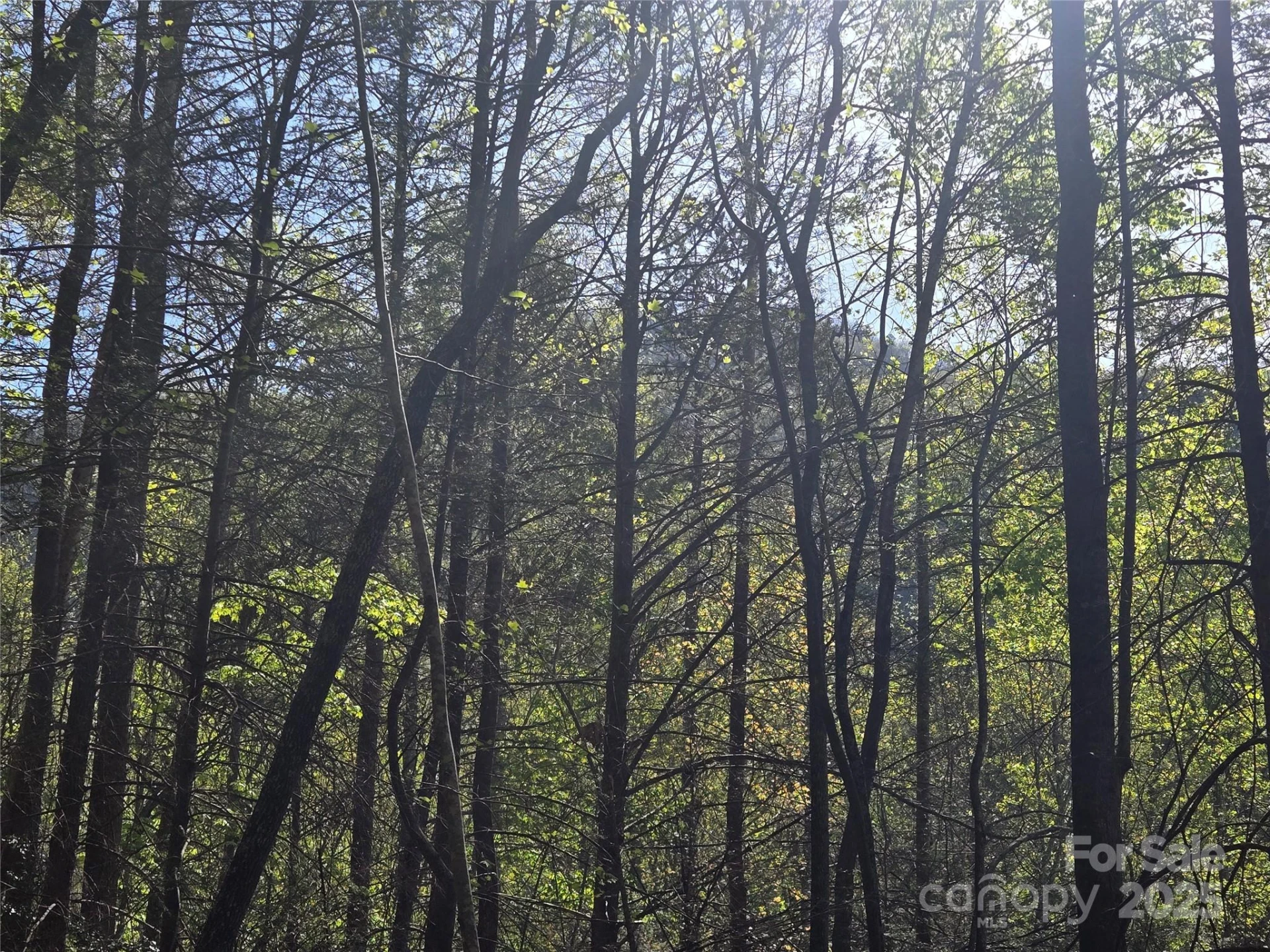 Lot 172 West Lake Drive - Photo 5