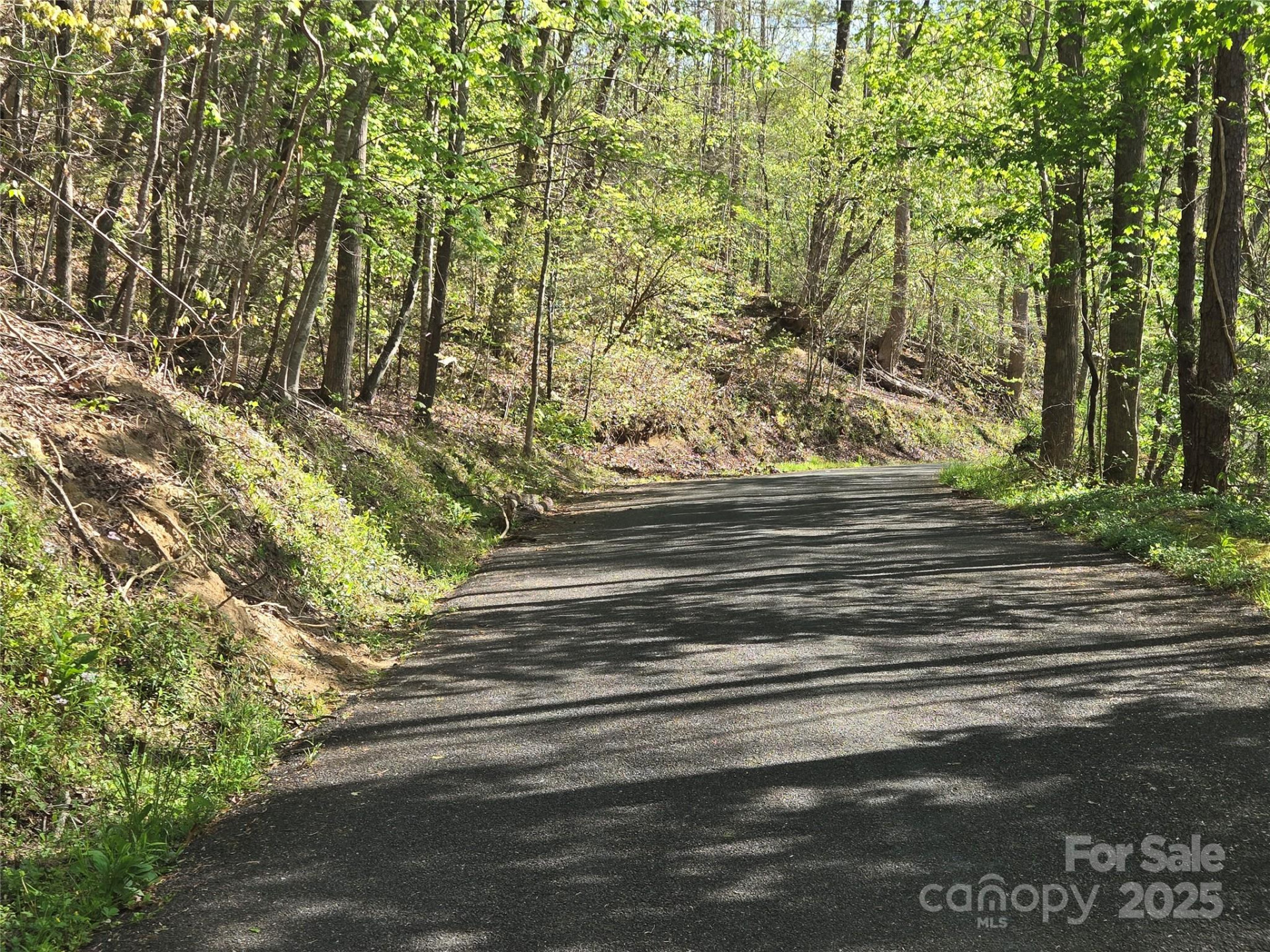 Lot 172 West Lake Drive - Photo 6