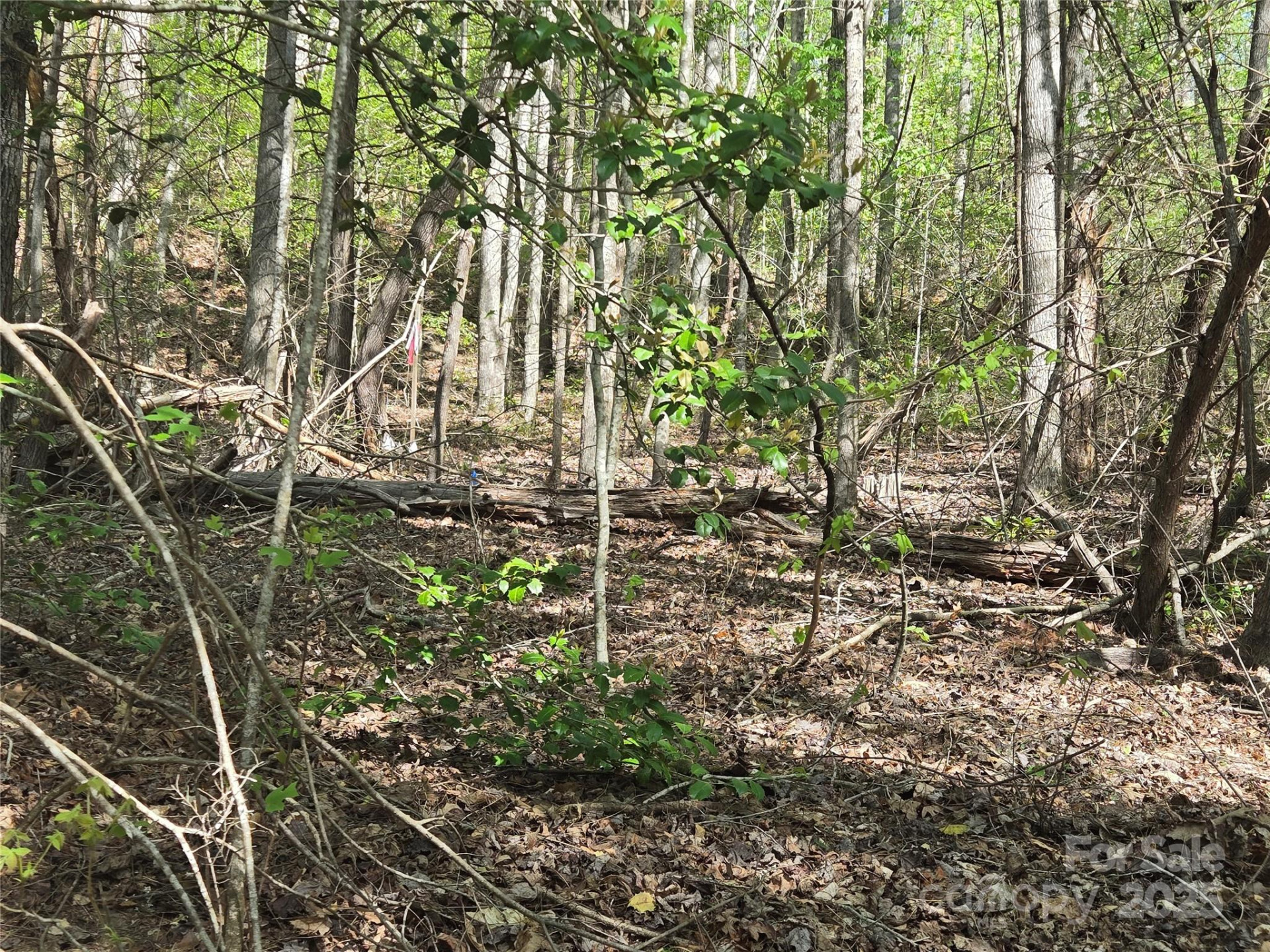 Lot 172 West Lake Drive - Photo 7