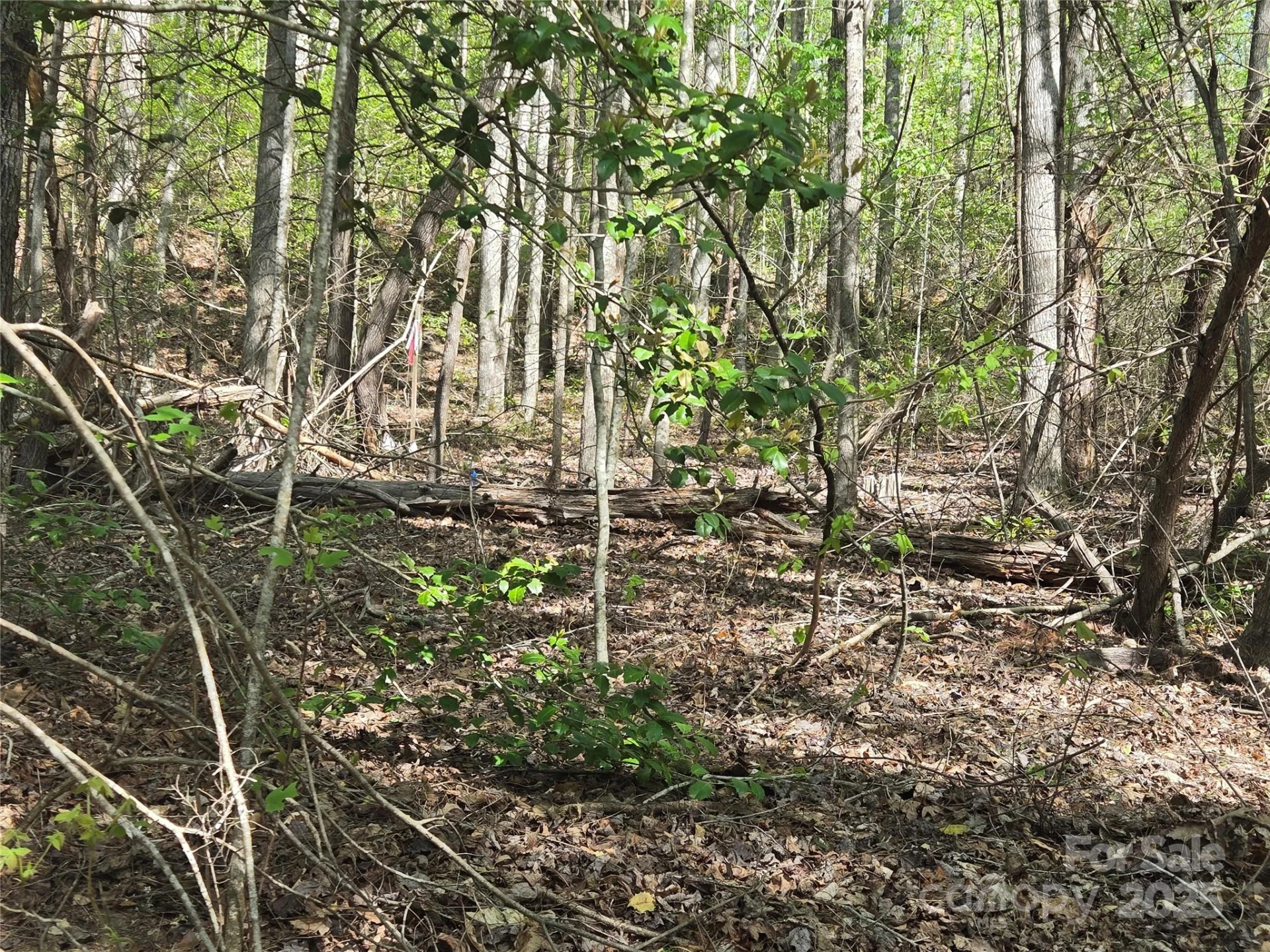 Lot 172 West Lake Drive - Photo 7