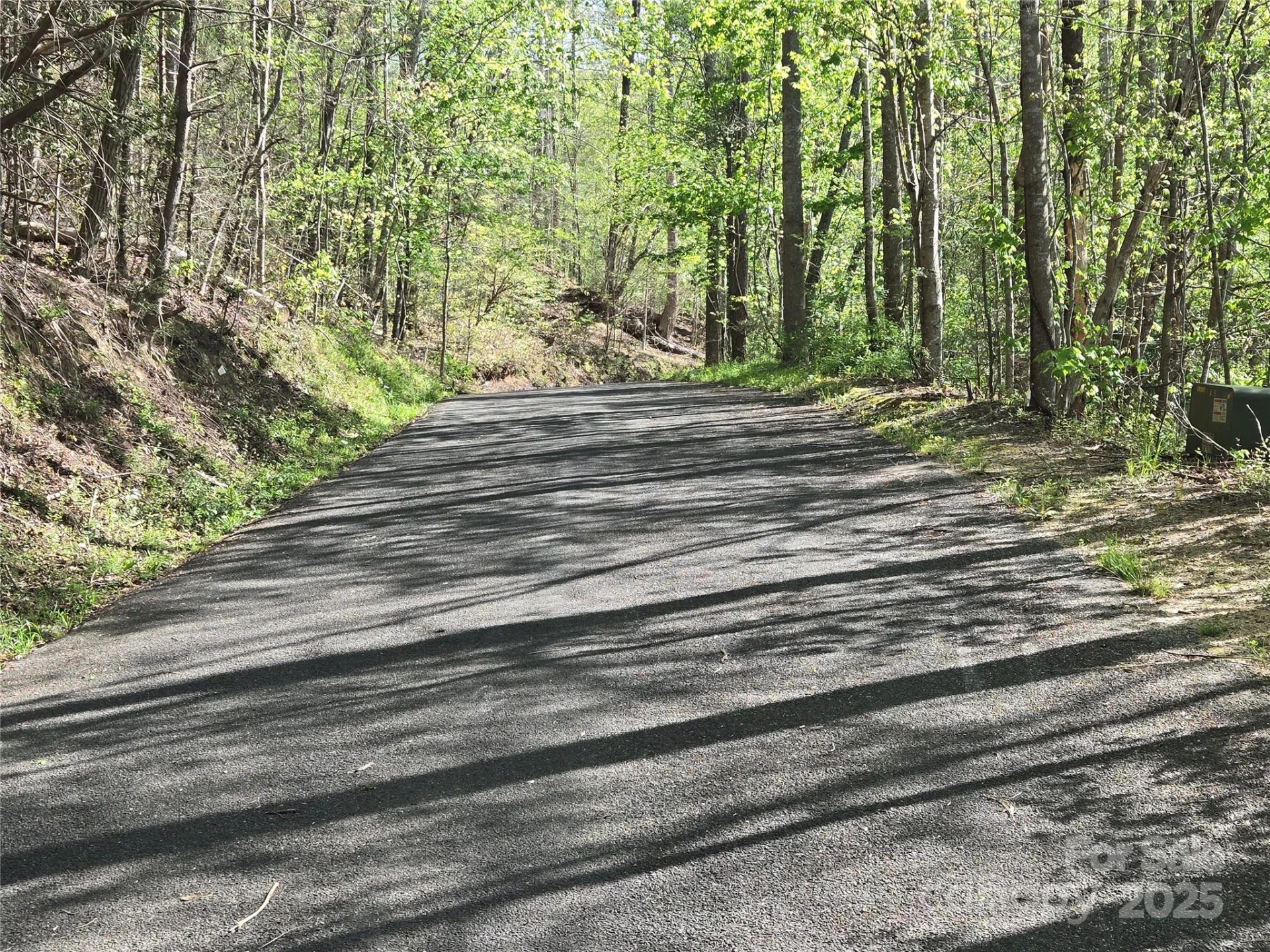 Lot 172 West Lake Drive - Photo 8