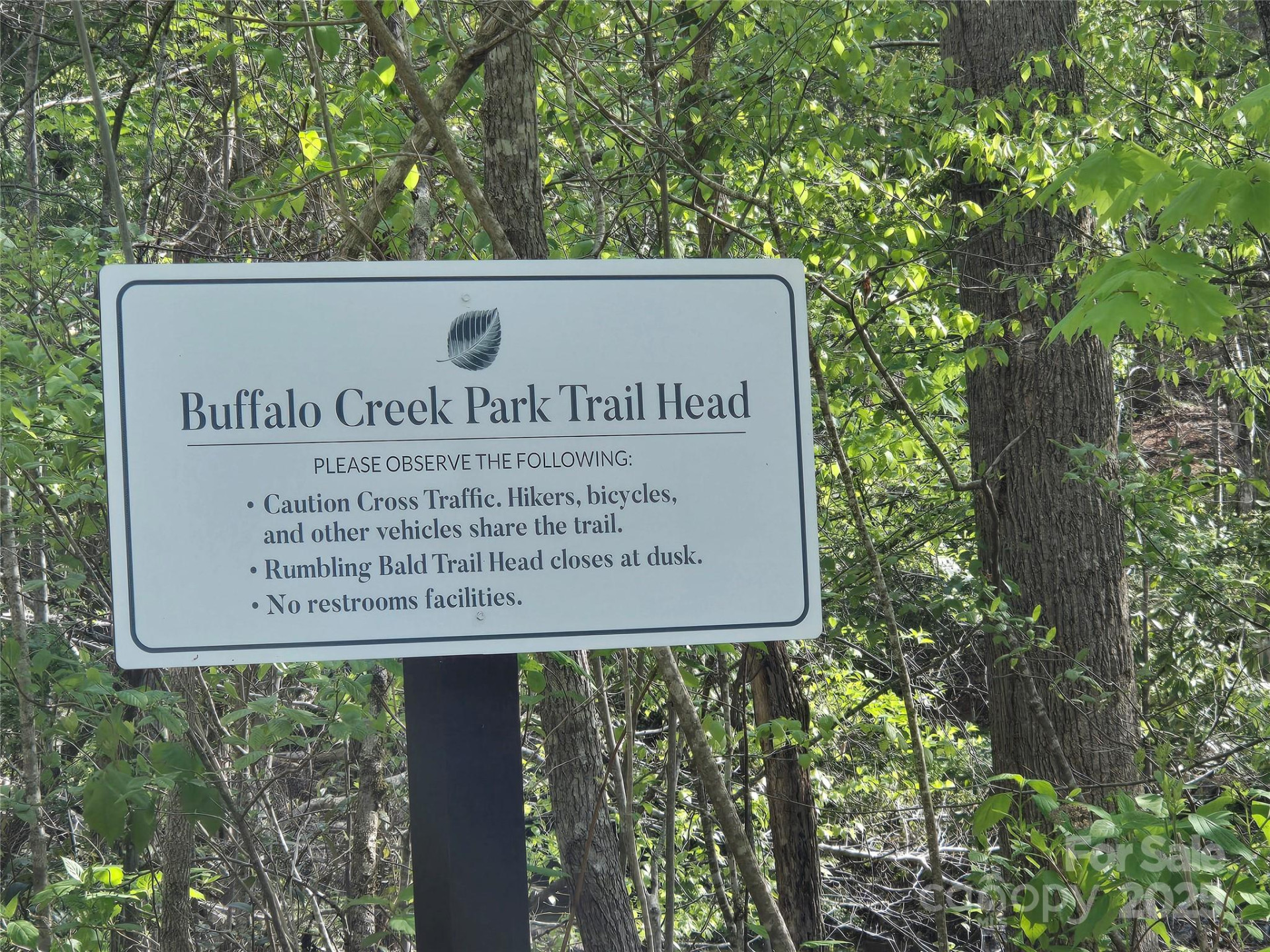 Lot 172 West Lake Drive - Photo 9