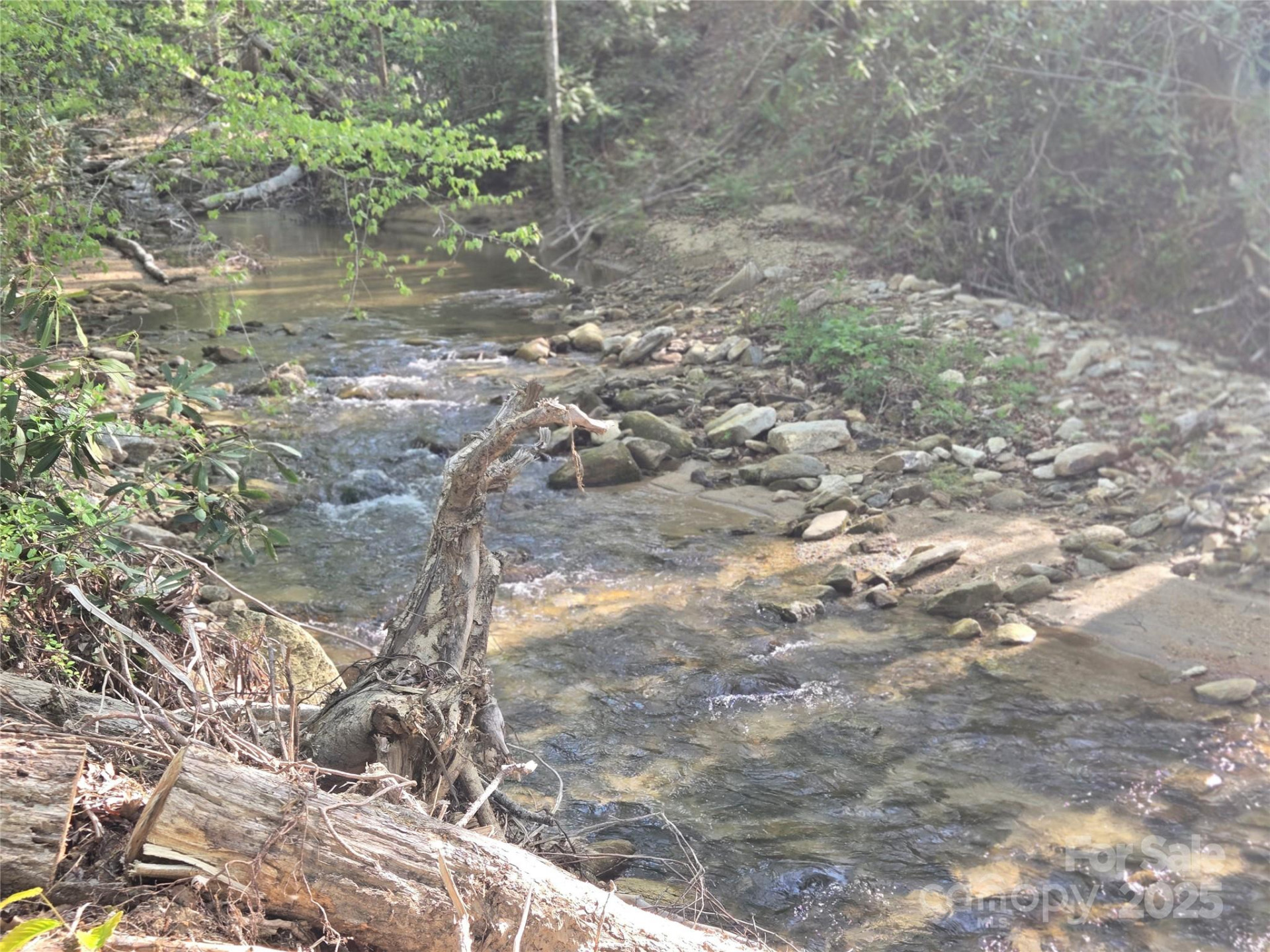 Lot 172 West Lake Drive - Photo 10