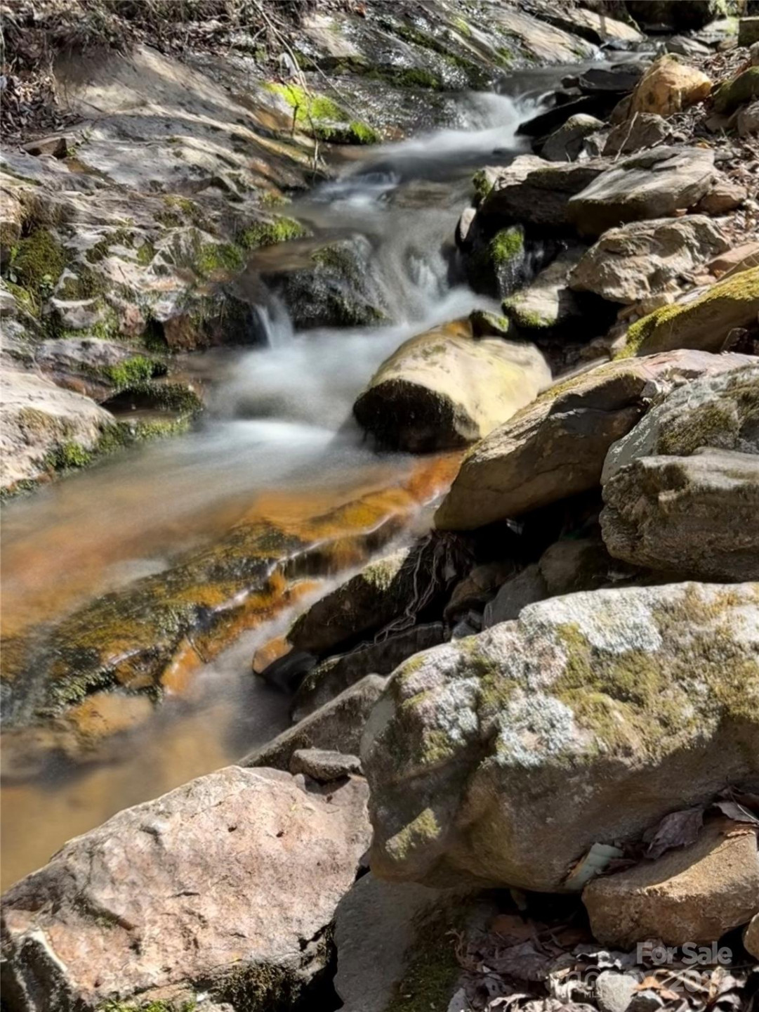 492 Paint Fork Road - Photo 41