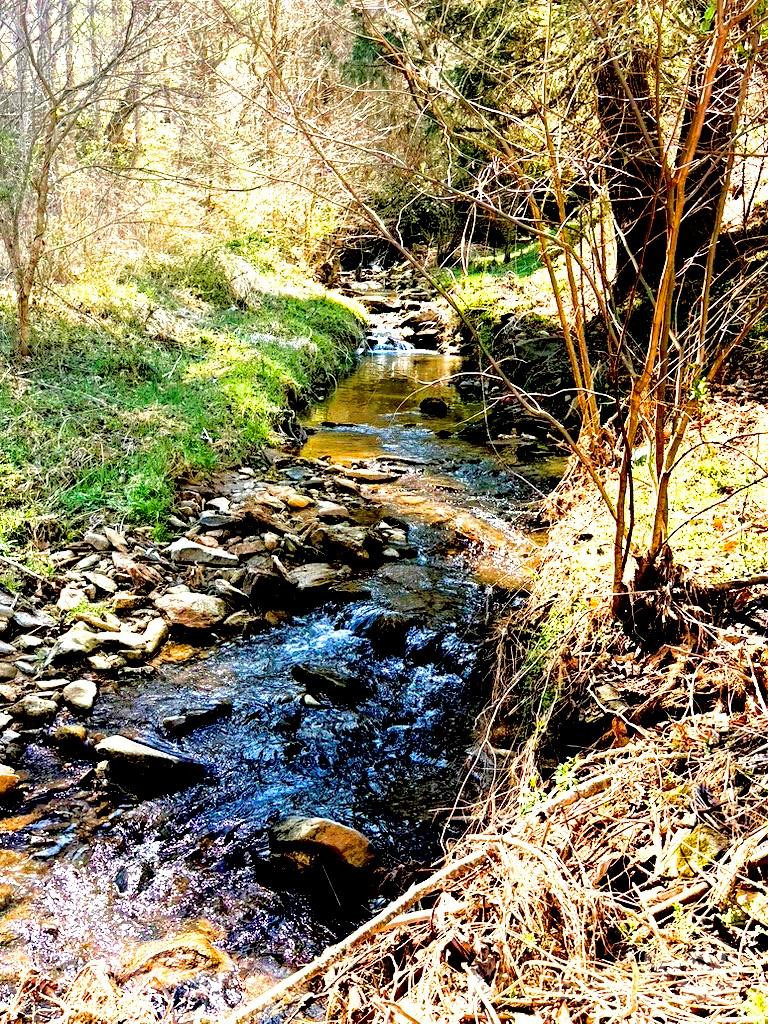 492 Paint Fork Road - Photo 42