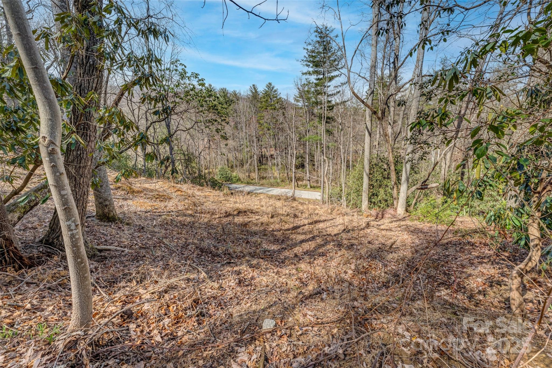 99999 Christa Lane #3 - Photo 4