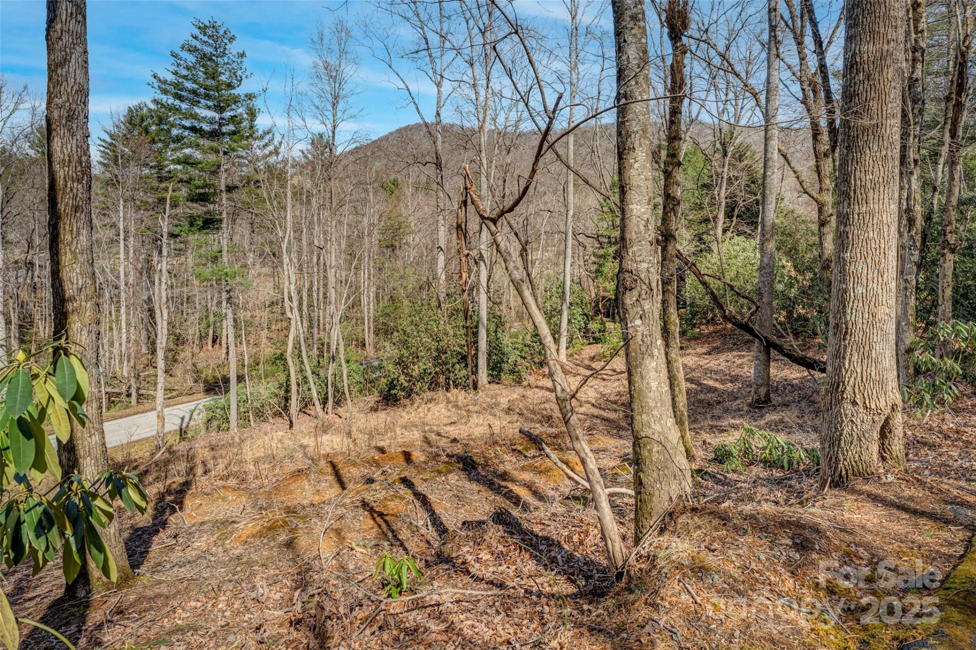 99999 Christa Lane #3 - Photo 5