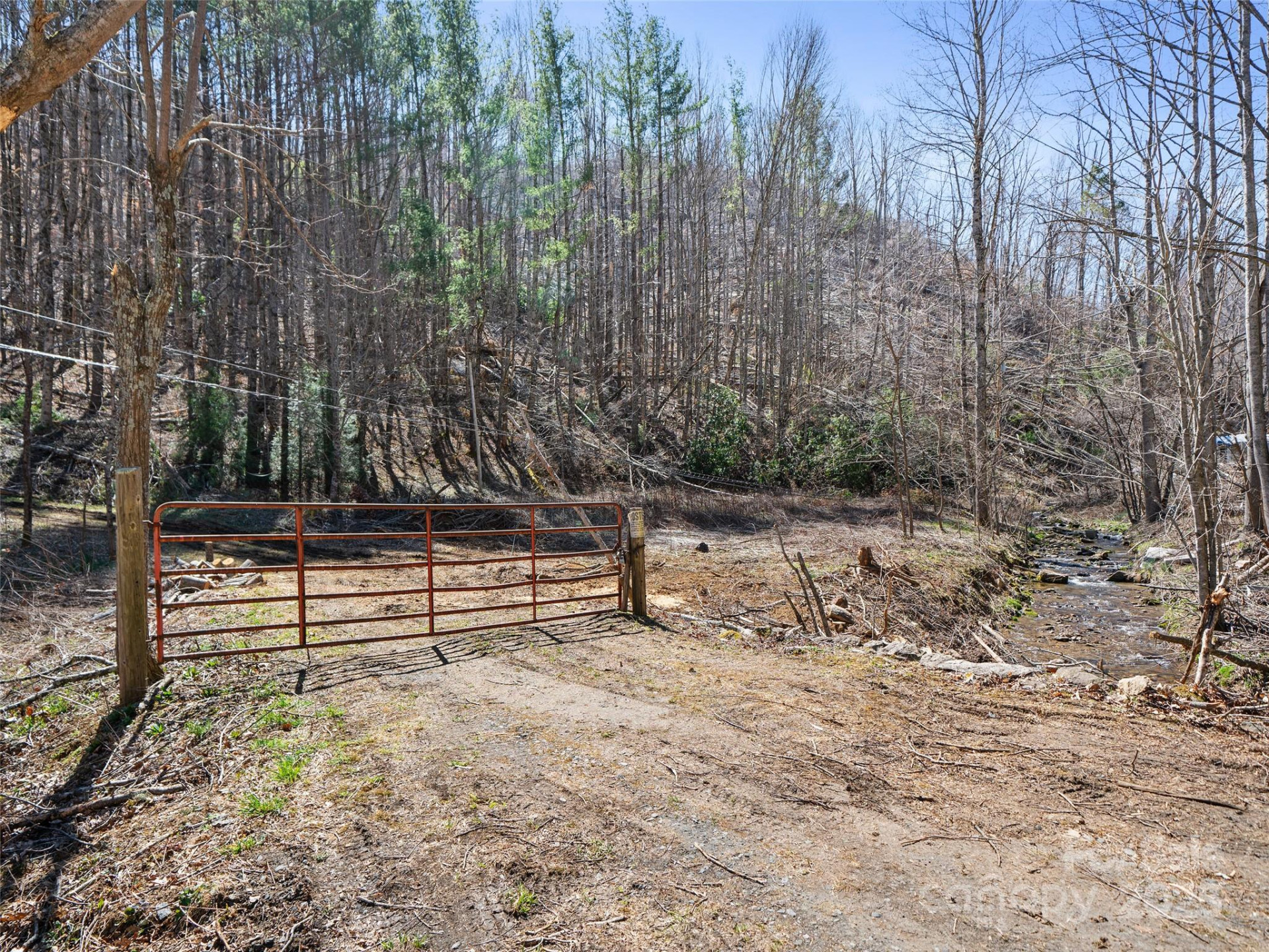 0 NC Highway 226 None - Photo 2