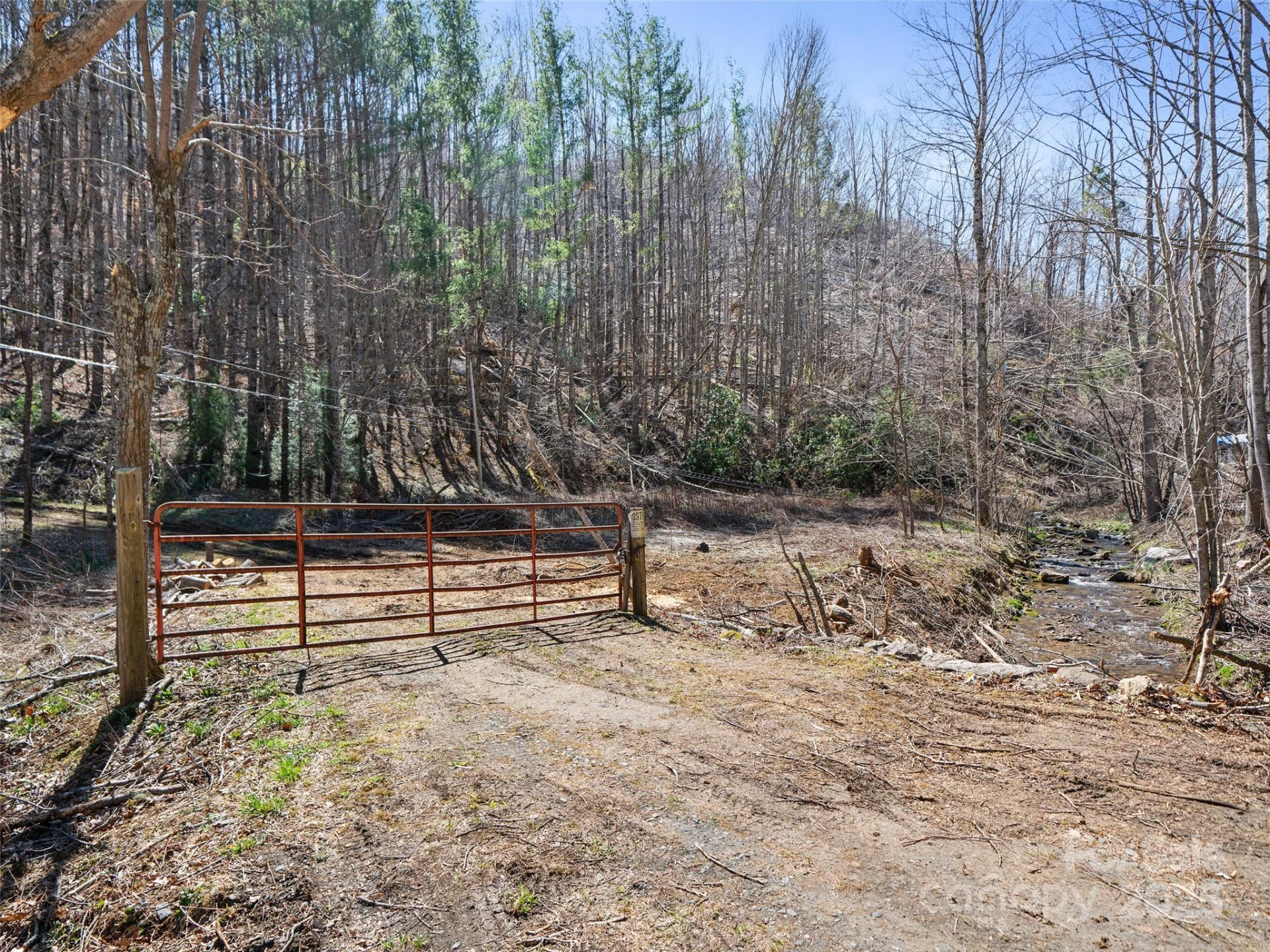 0 NC Highway 226 None - Photo 2