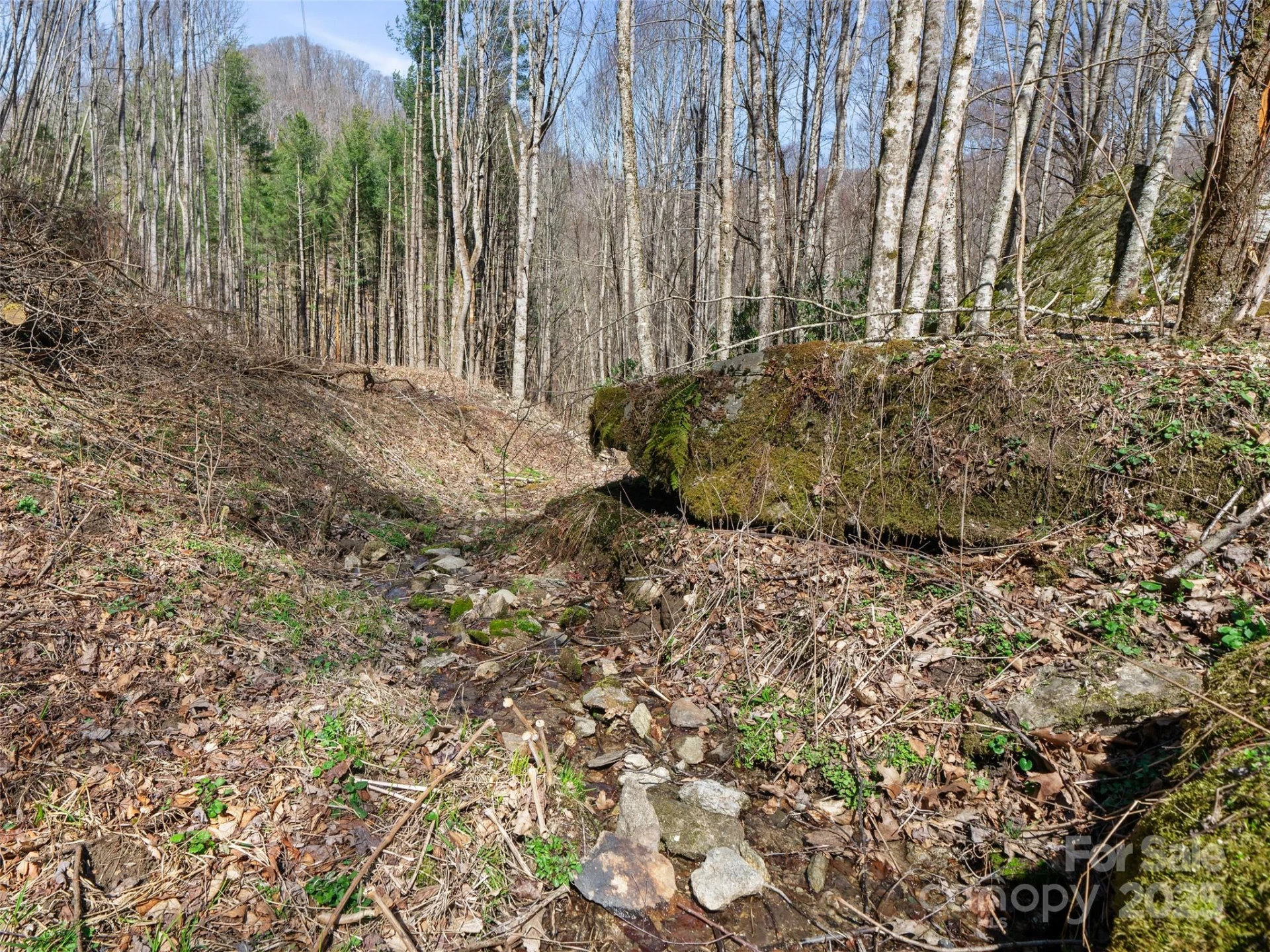 0 NC Highway 226 None - Photo 11