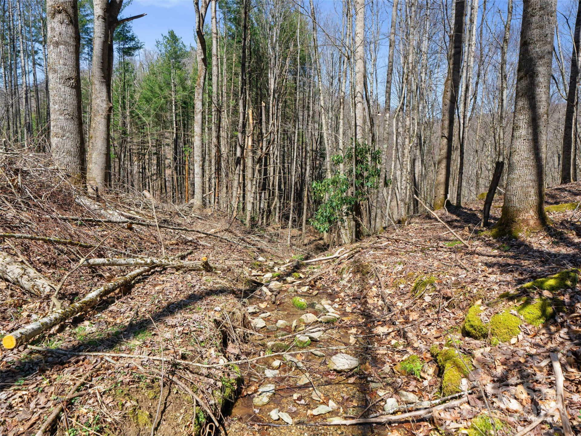 0 NC Highway 226 None - Photo 12