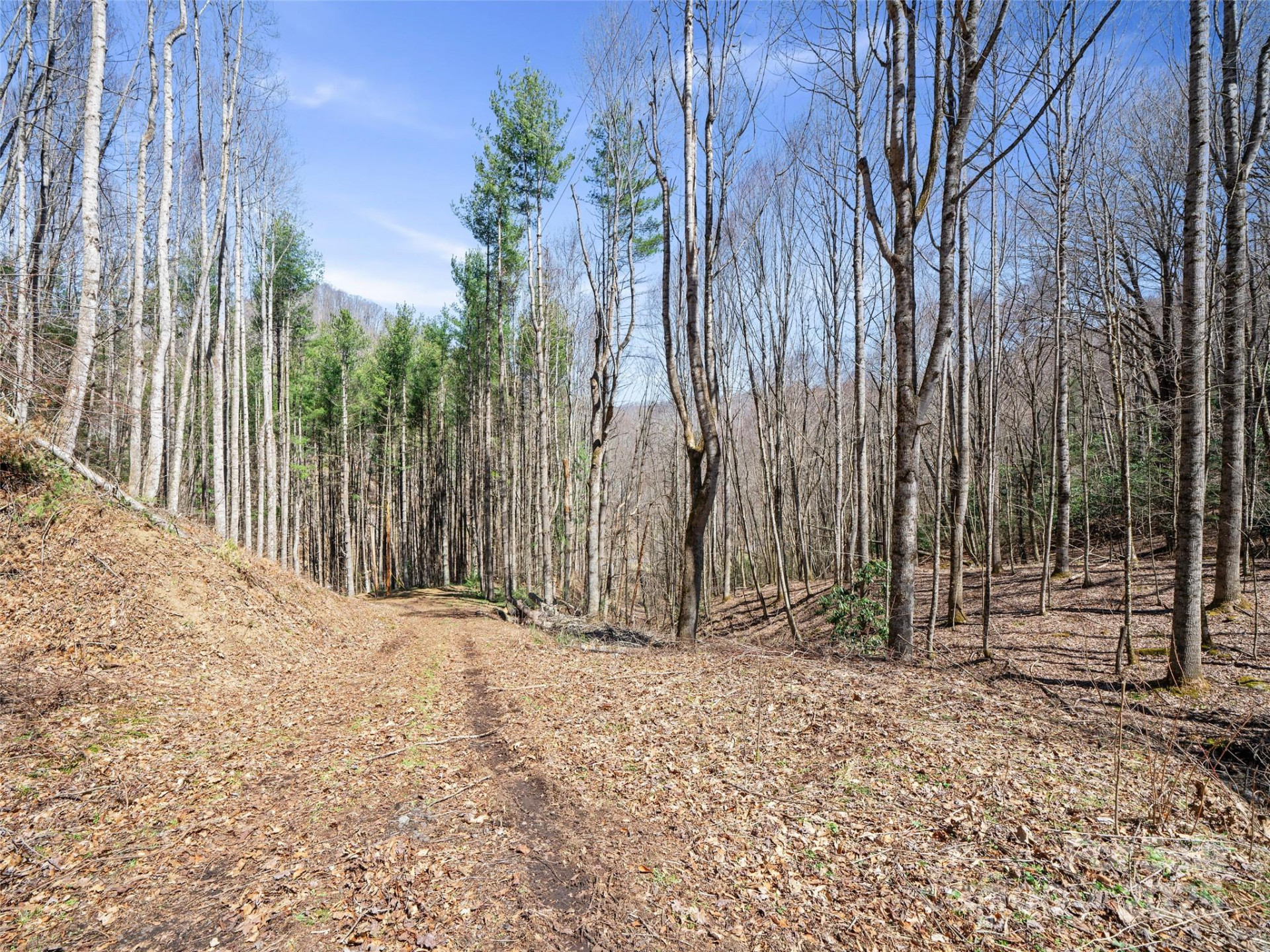 0 NC Highway 226 None - Photo 13