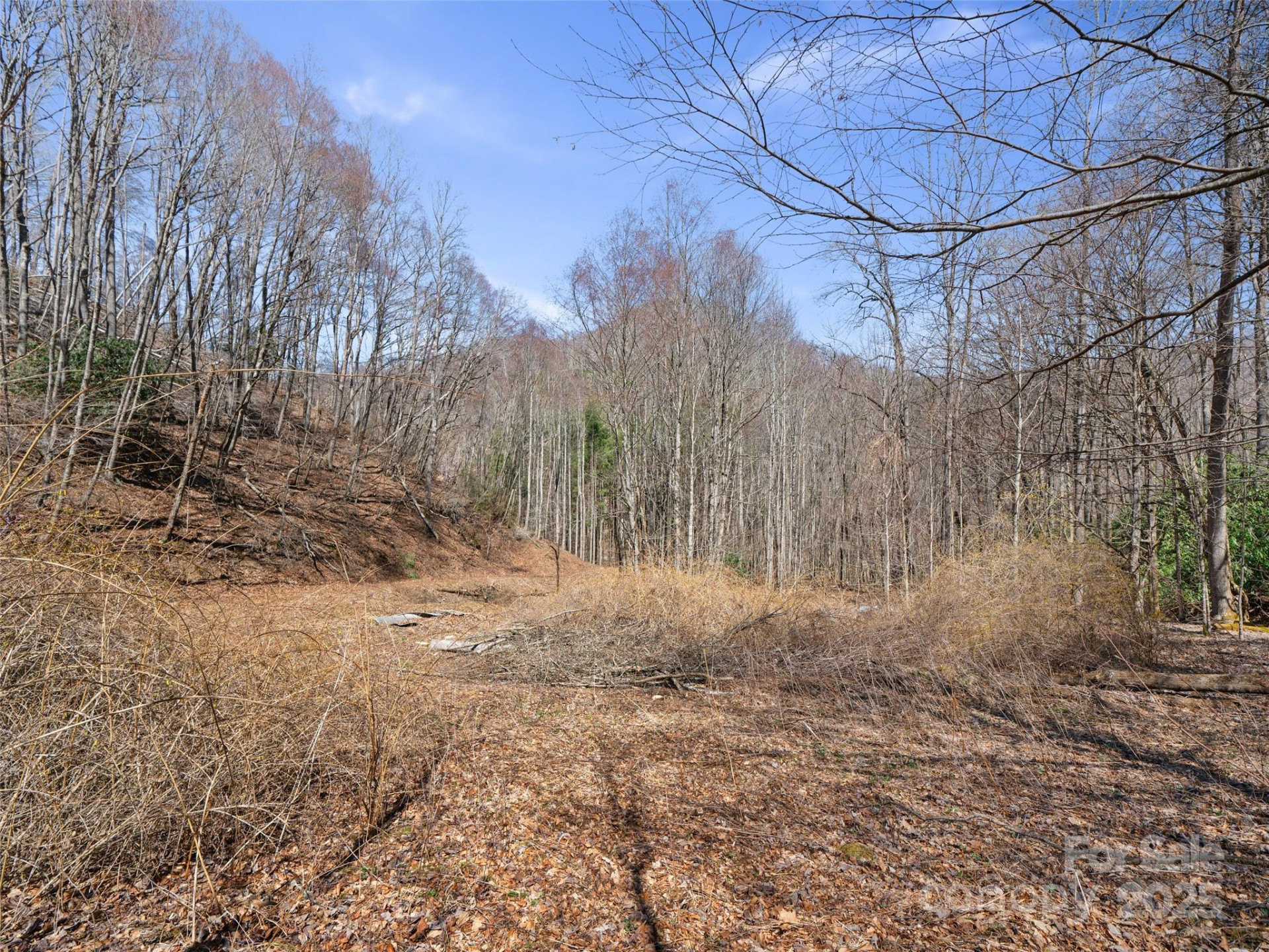 0 NC Highway 226 None - Photo 14