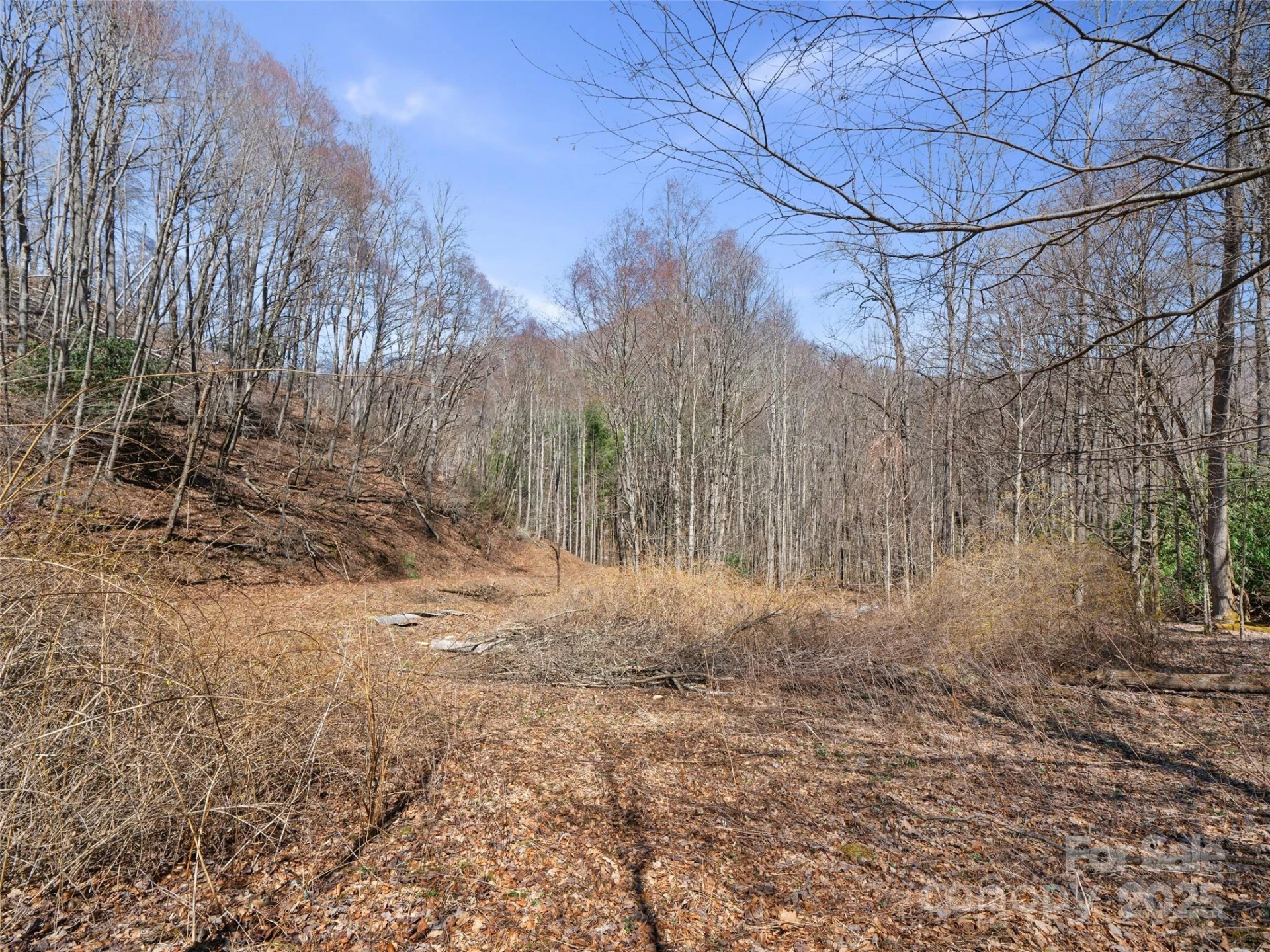0 NC Highway 226 None - Photo 14
