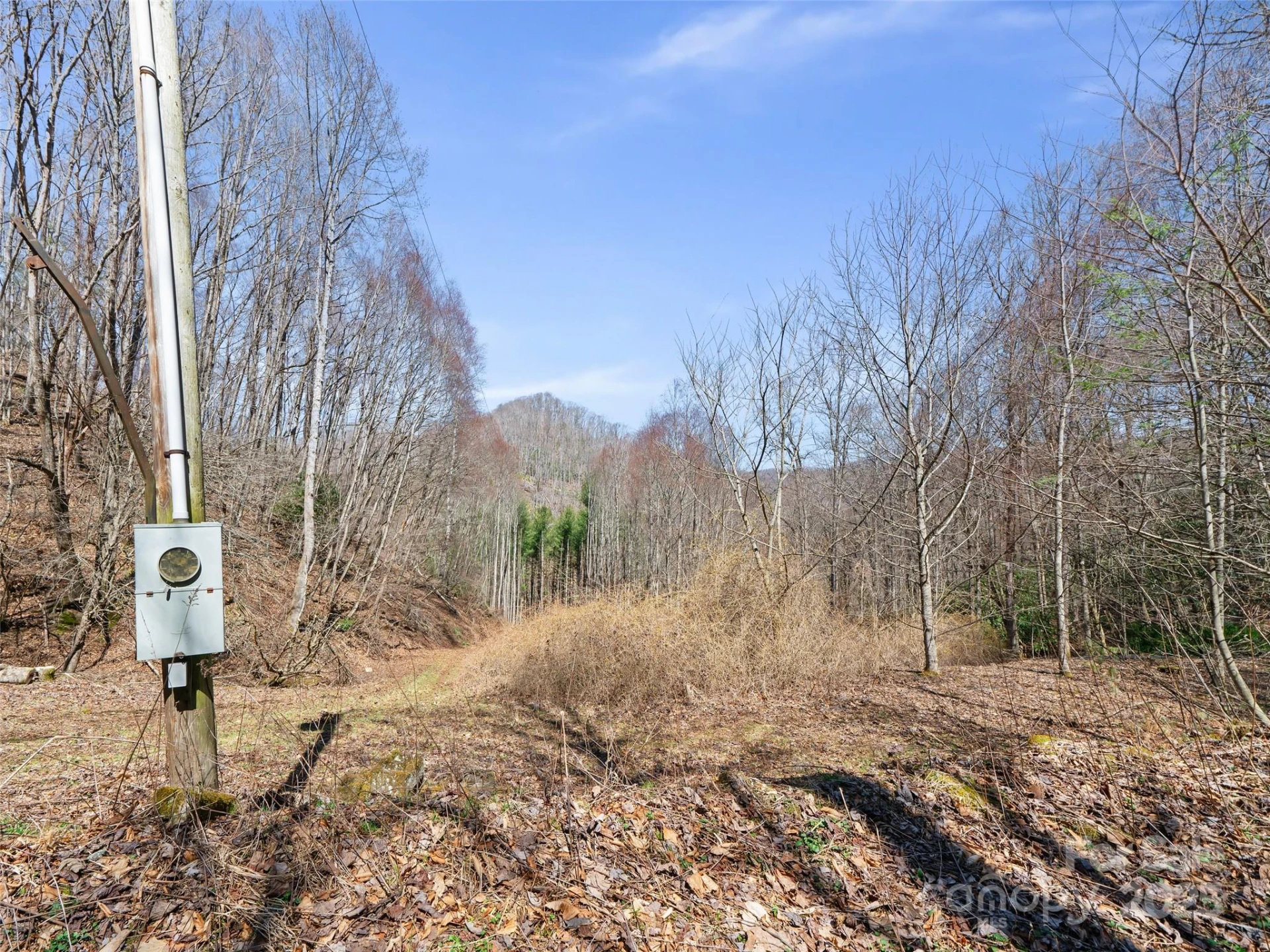 0 NC Highway 226 None - Photo 15